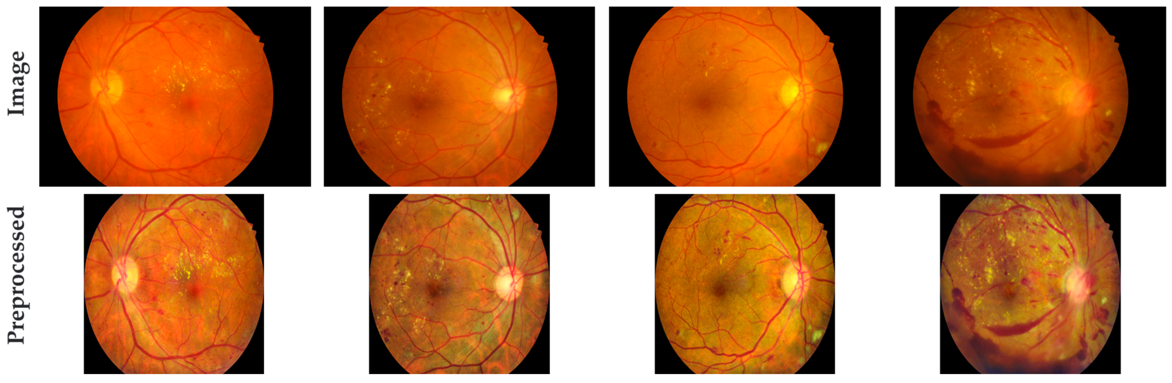 Algorithms 17 00164 g004