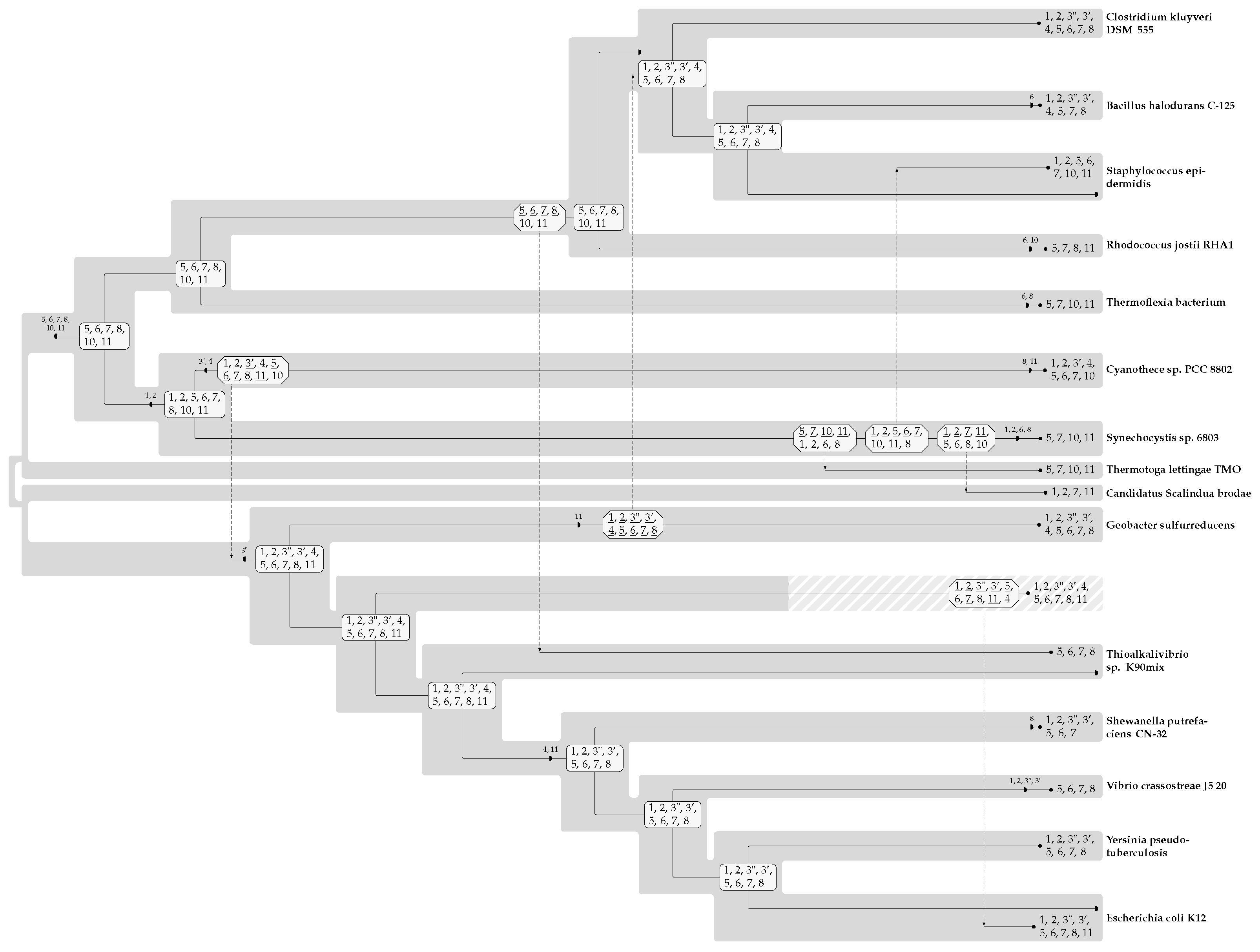 Algorithms 17 00186 g003