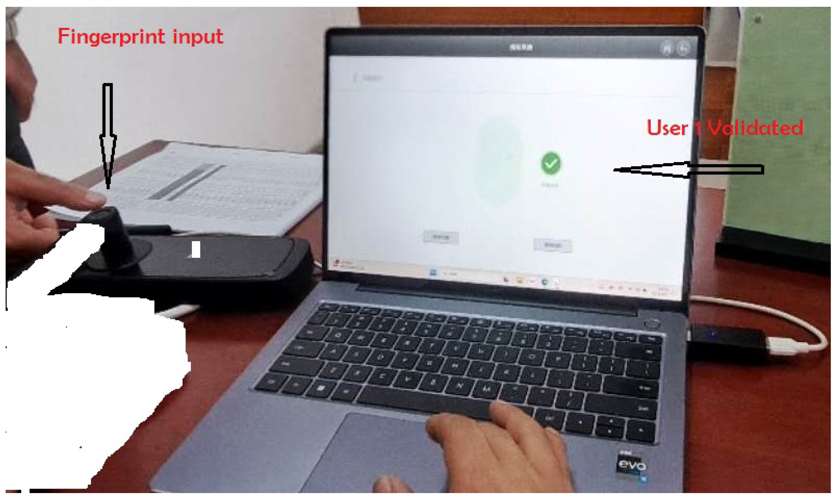 Algorithms 17 00225 g002