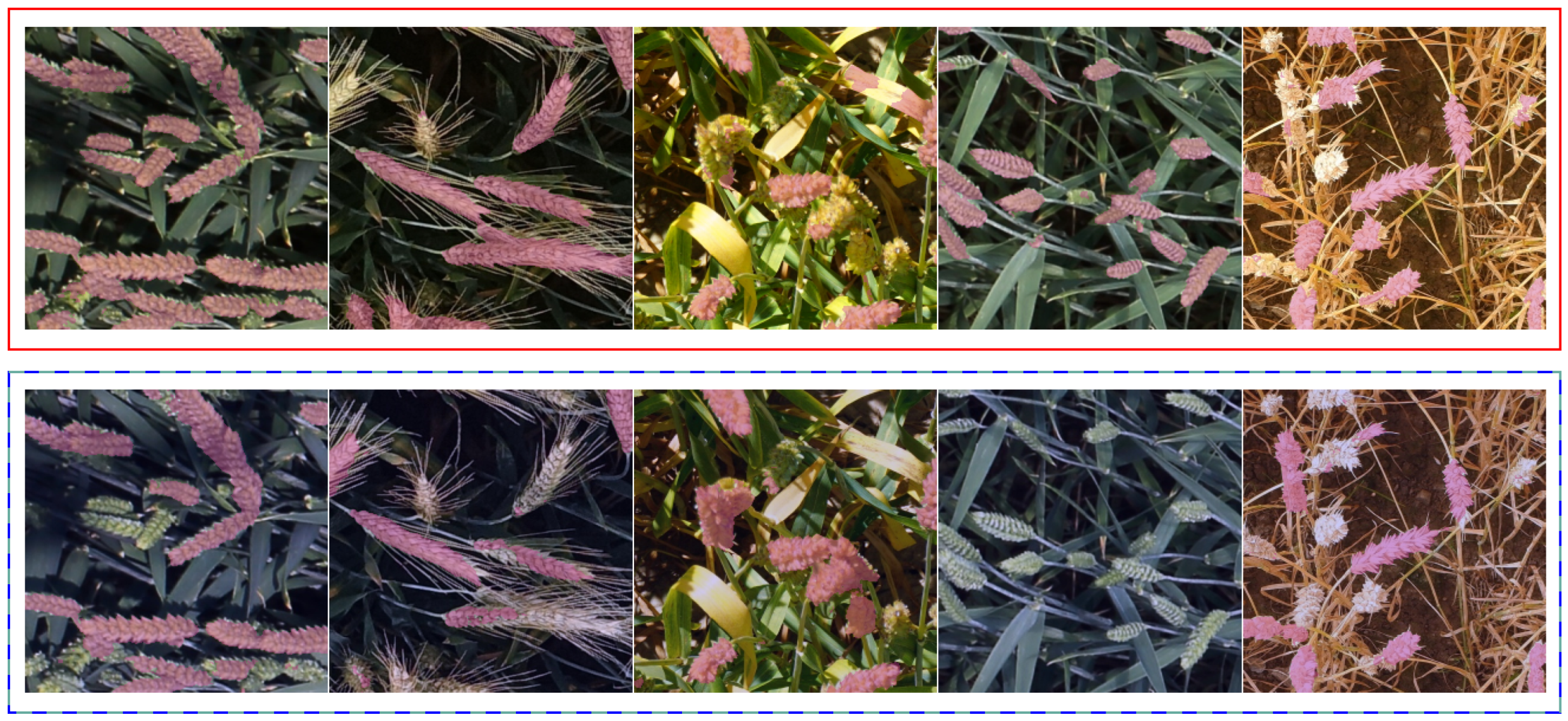 Algorithms 17 00267 g006