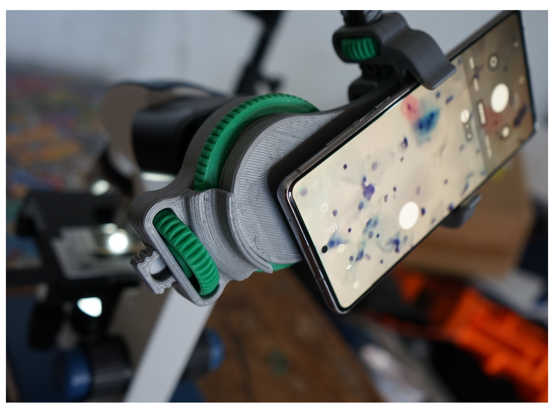 Algorithms 17 00309 g003