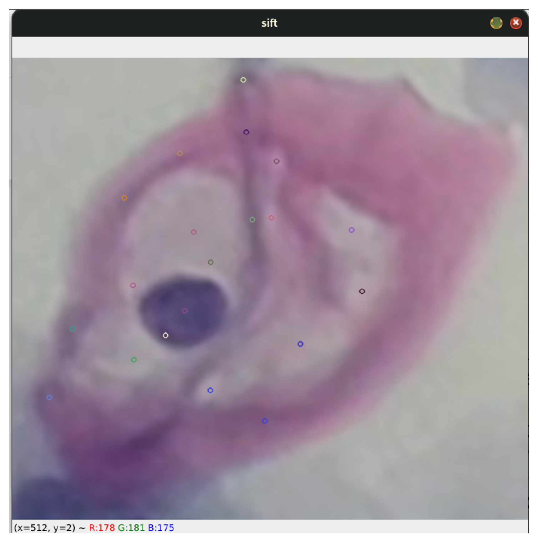 Algorithms 17 00309 g006