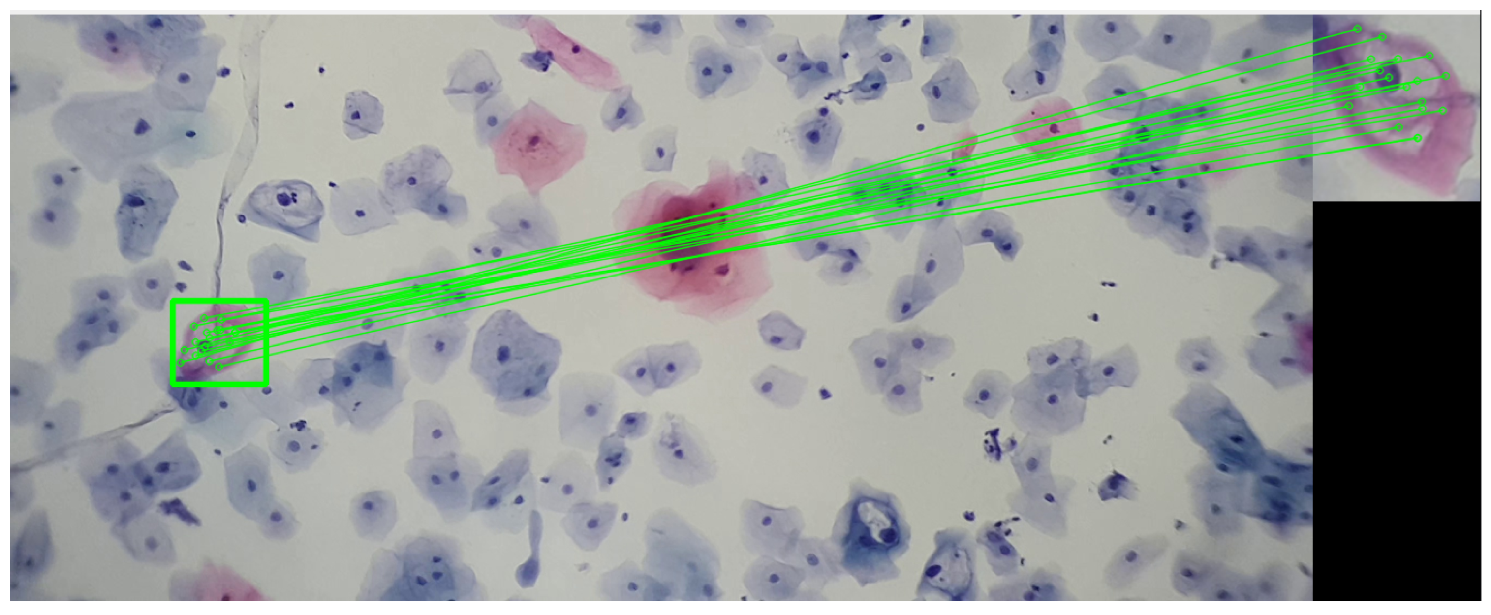 Algorithms 17 00309 g008