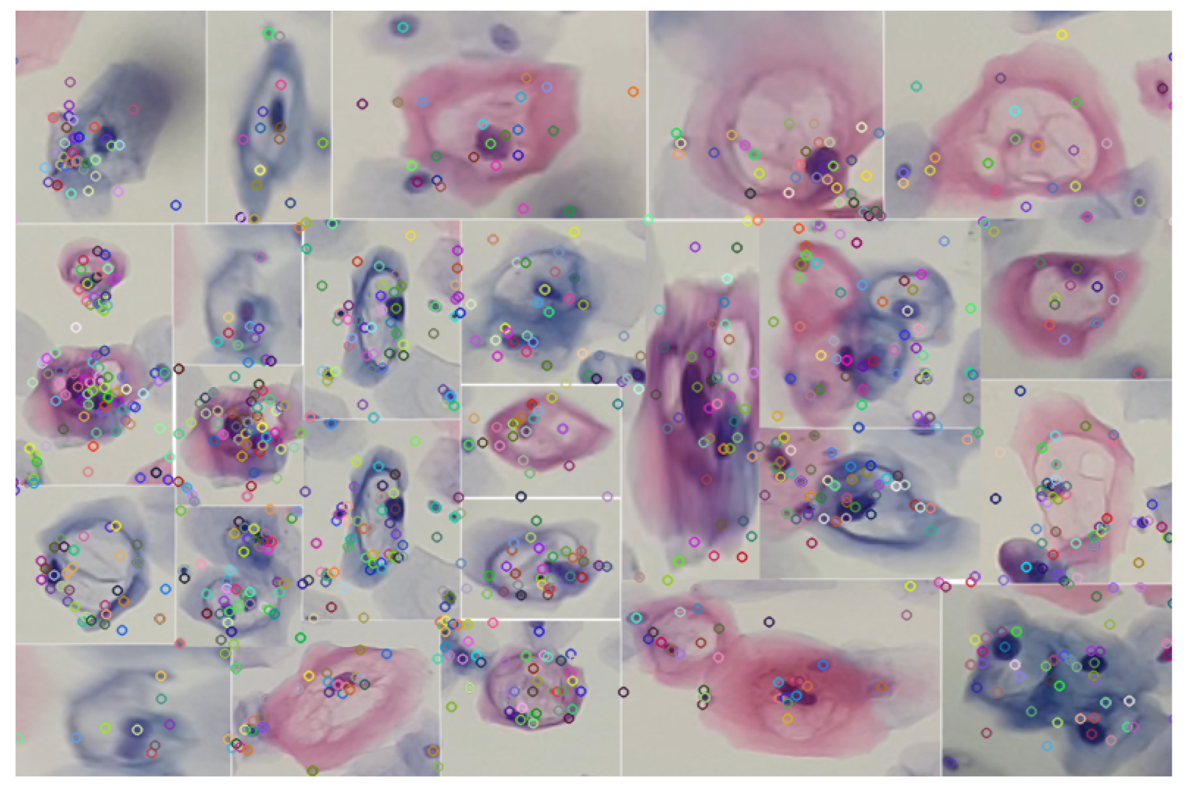 Algorithms 17 00309 g009