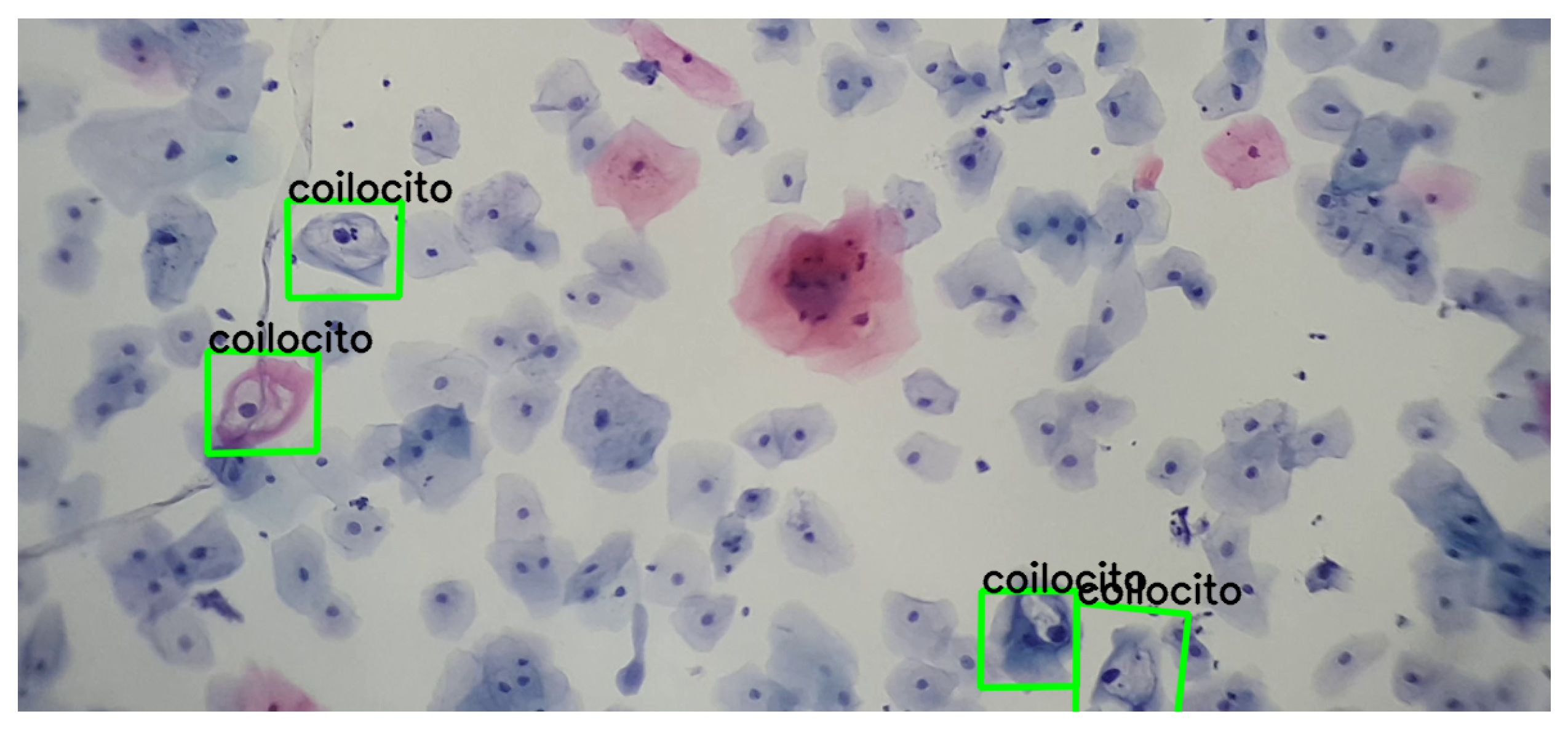 Algorithms 17 00309 g010