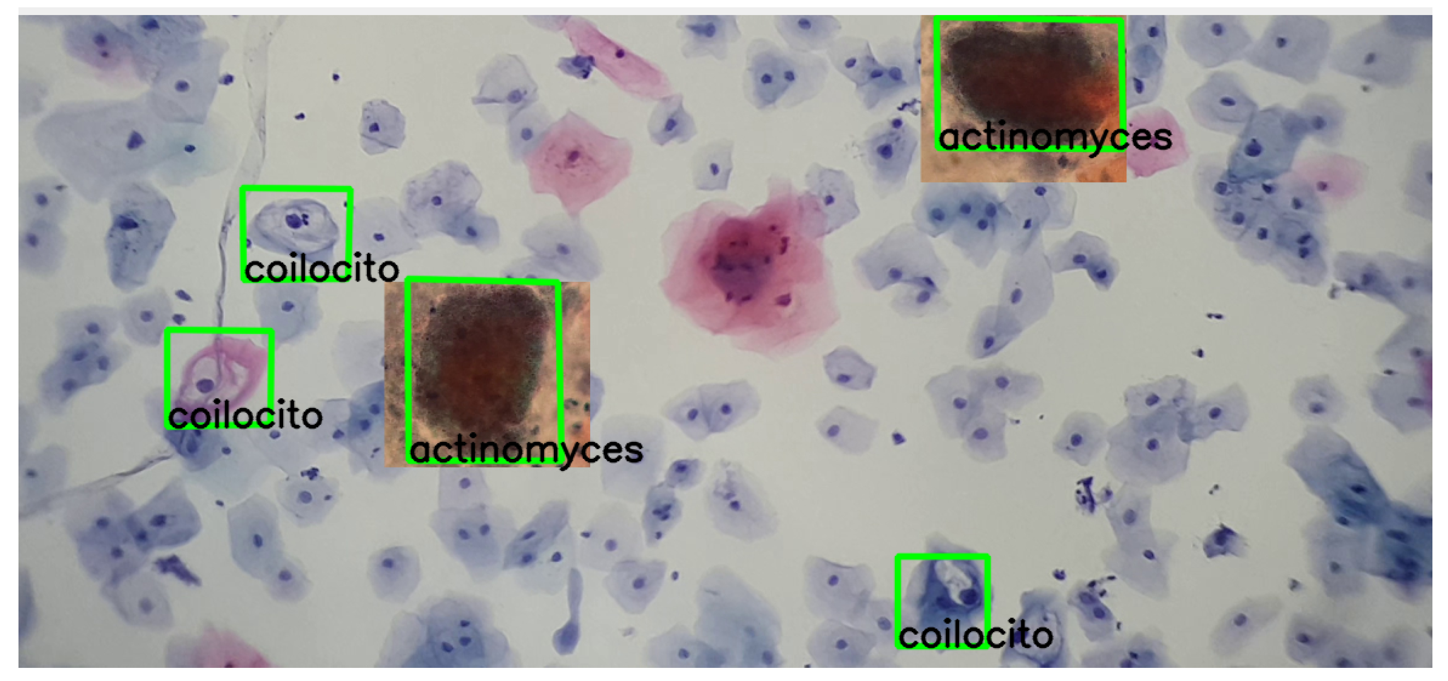 Algorithms 17 00309 g016