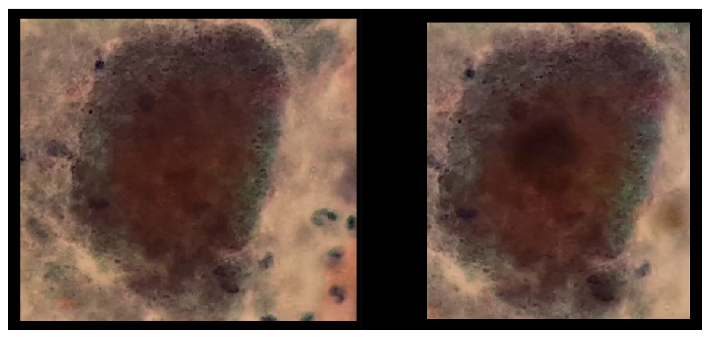 Algorithms 17 00309 g017