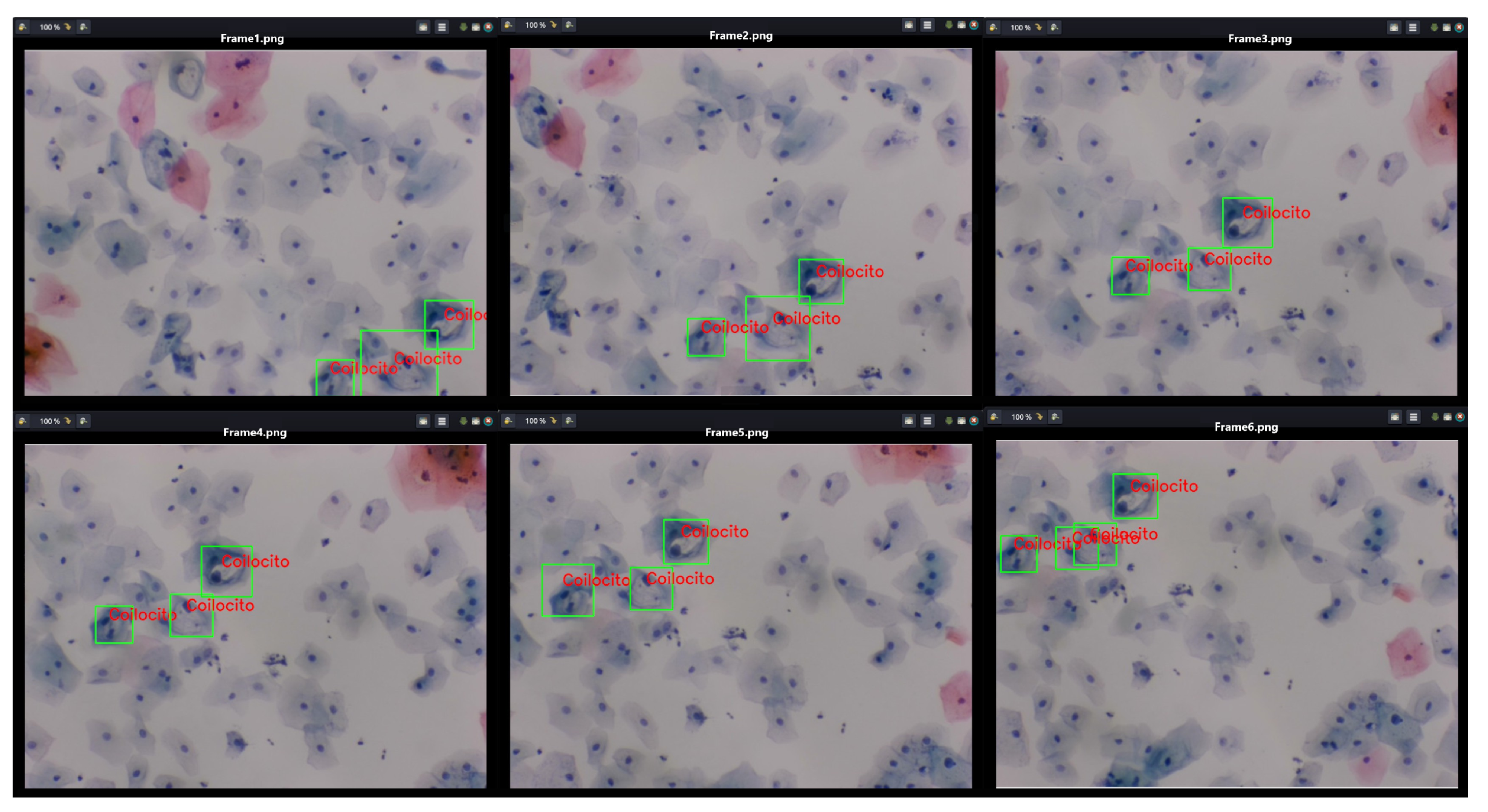 Algorithms 17 00309 g019