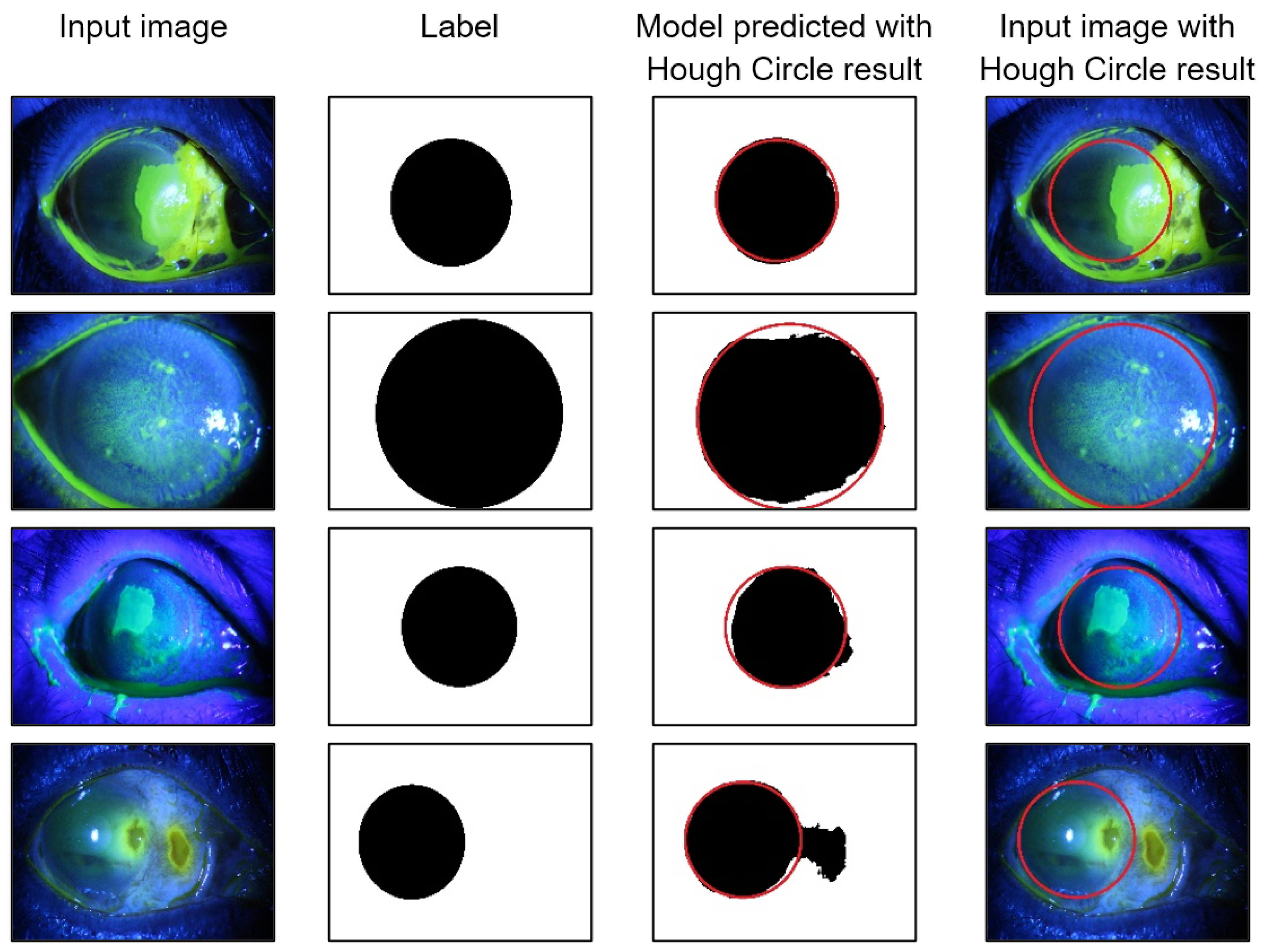 Algorithms 17 00405 g010
