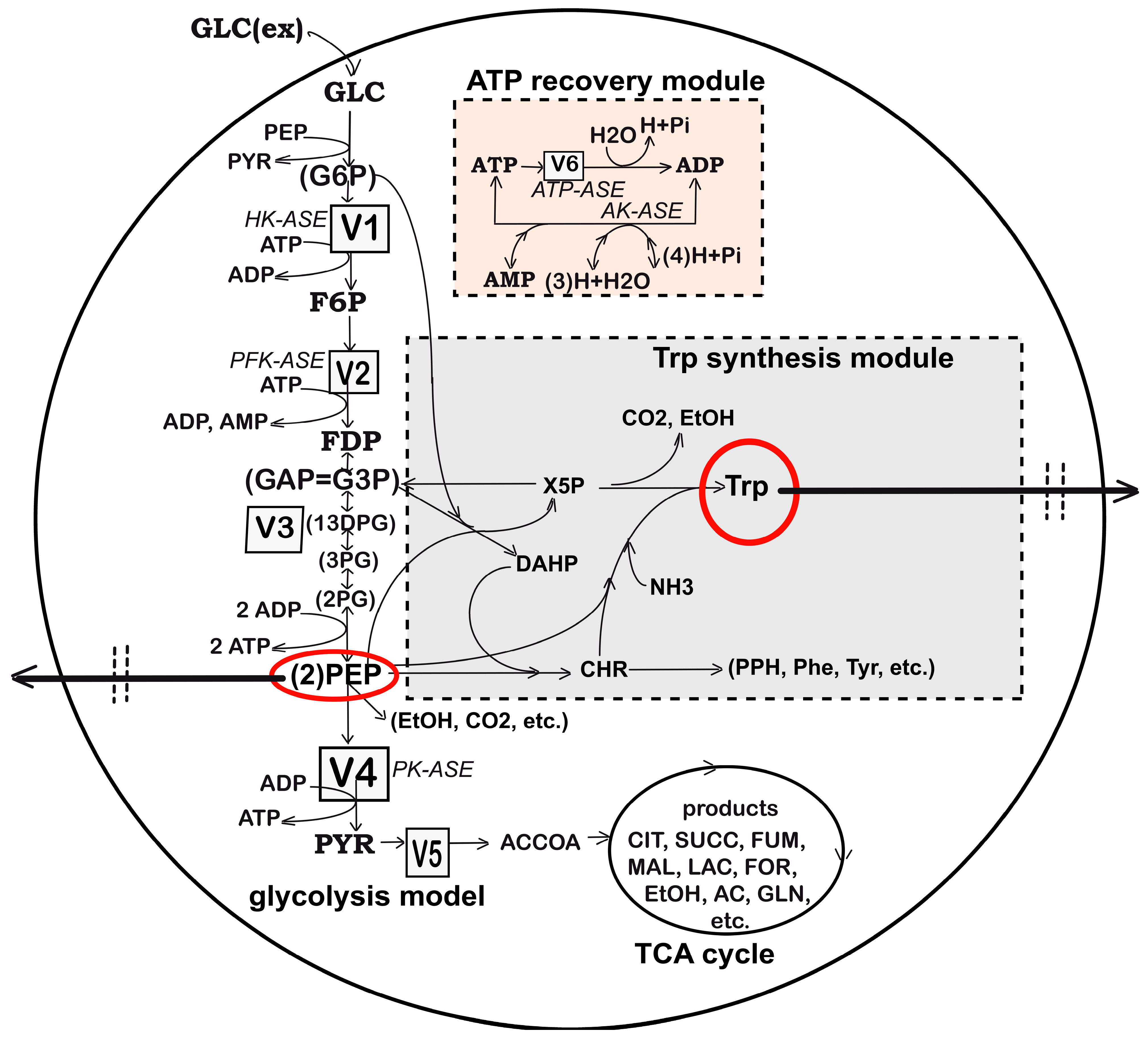 Algorithms 17 00428 g002 Algorithms 17 00428 g002