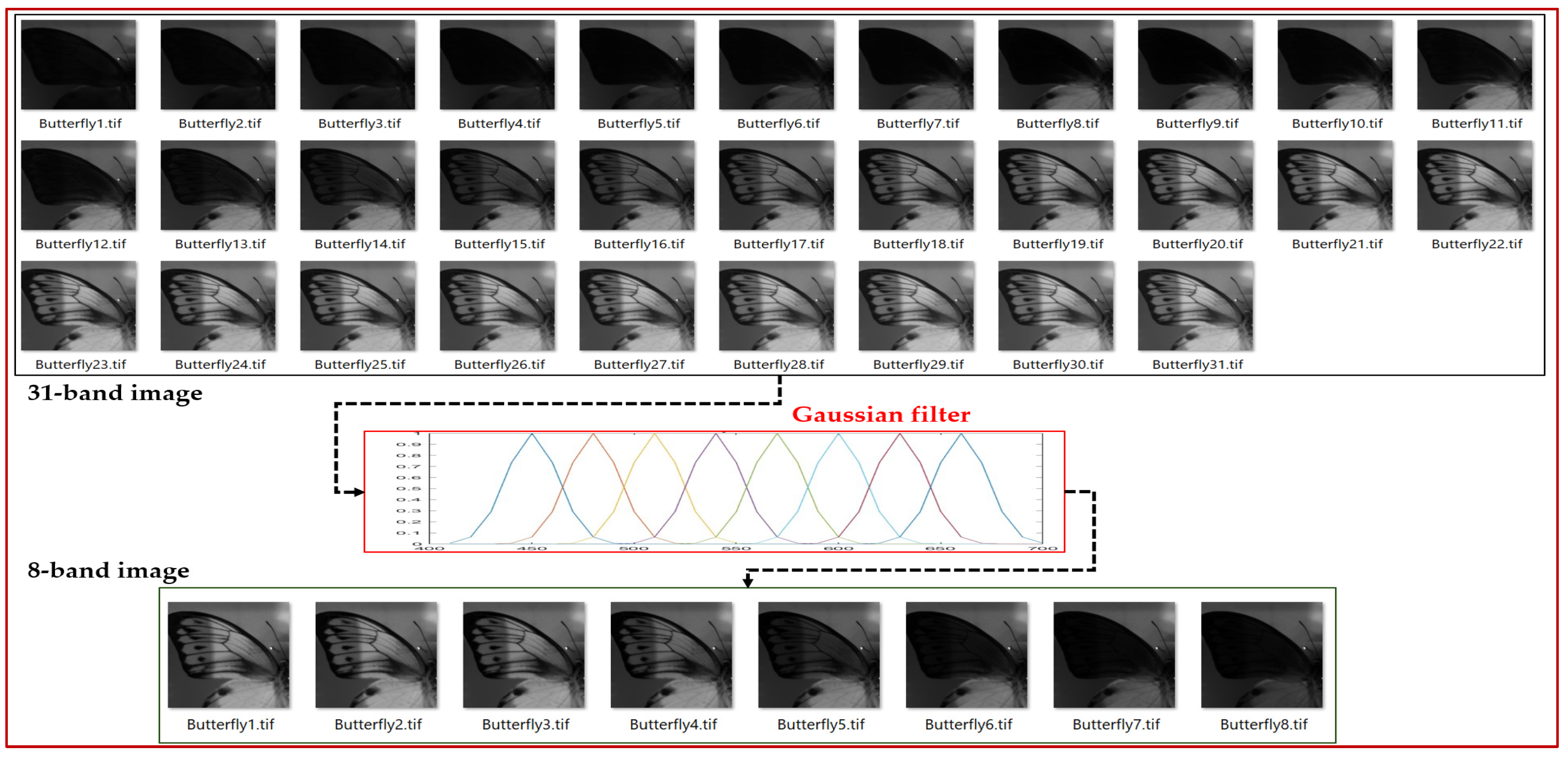 Algorithms 17 00473 g003