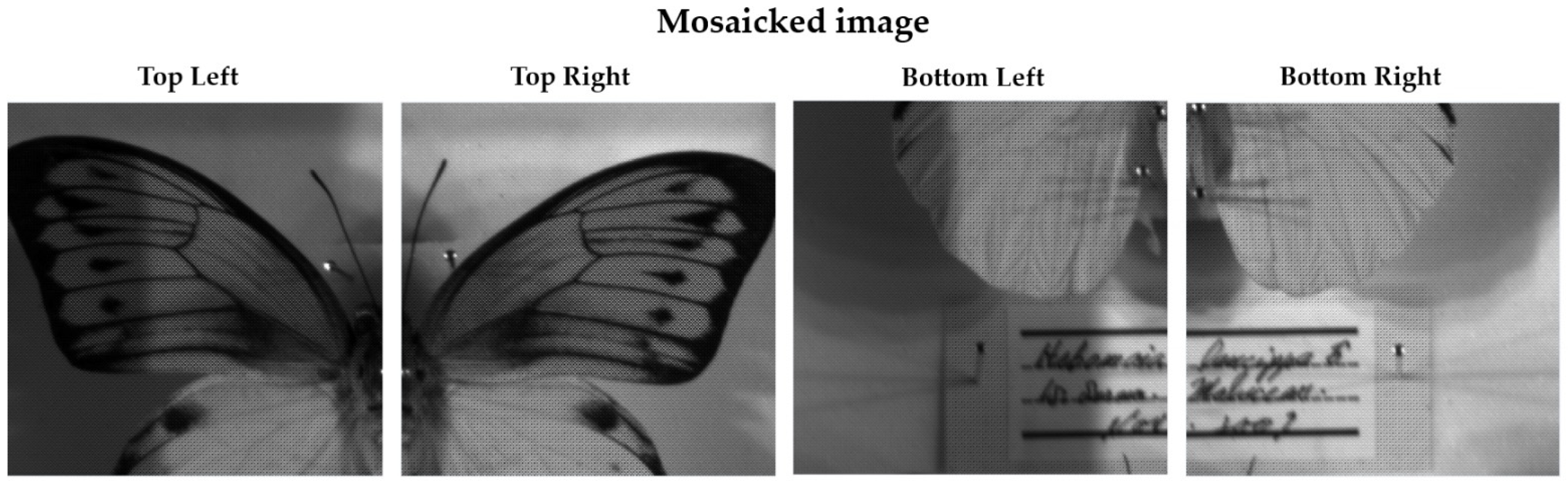 Algorithms 17 00473 g006