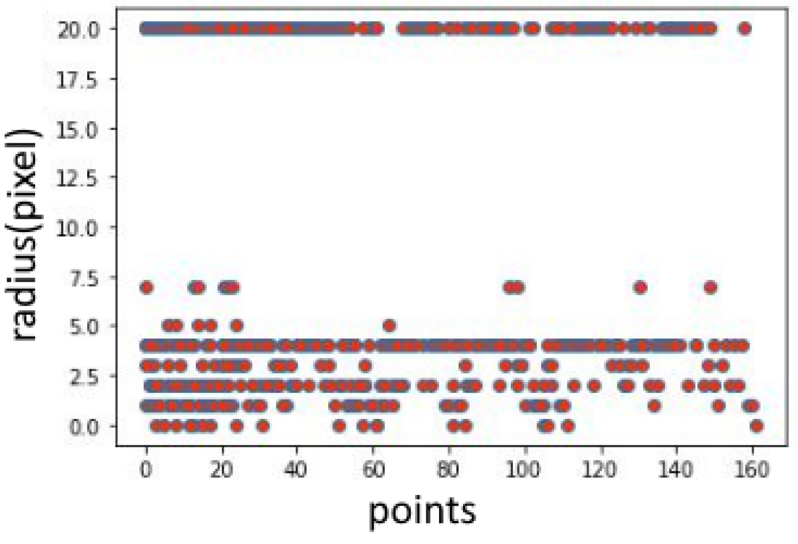 Algorithms 17 00506 g007