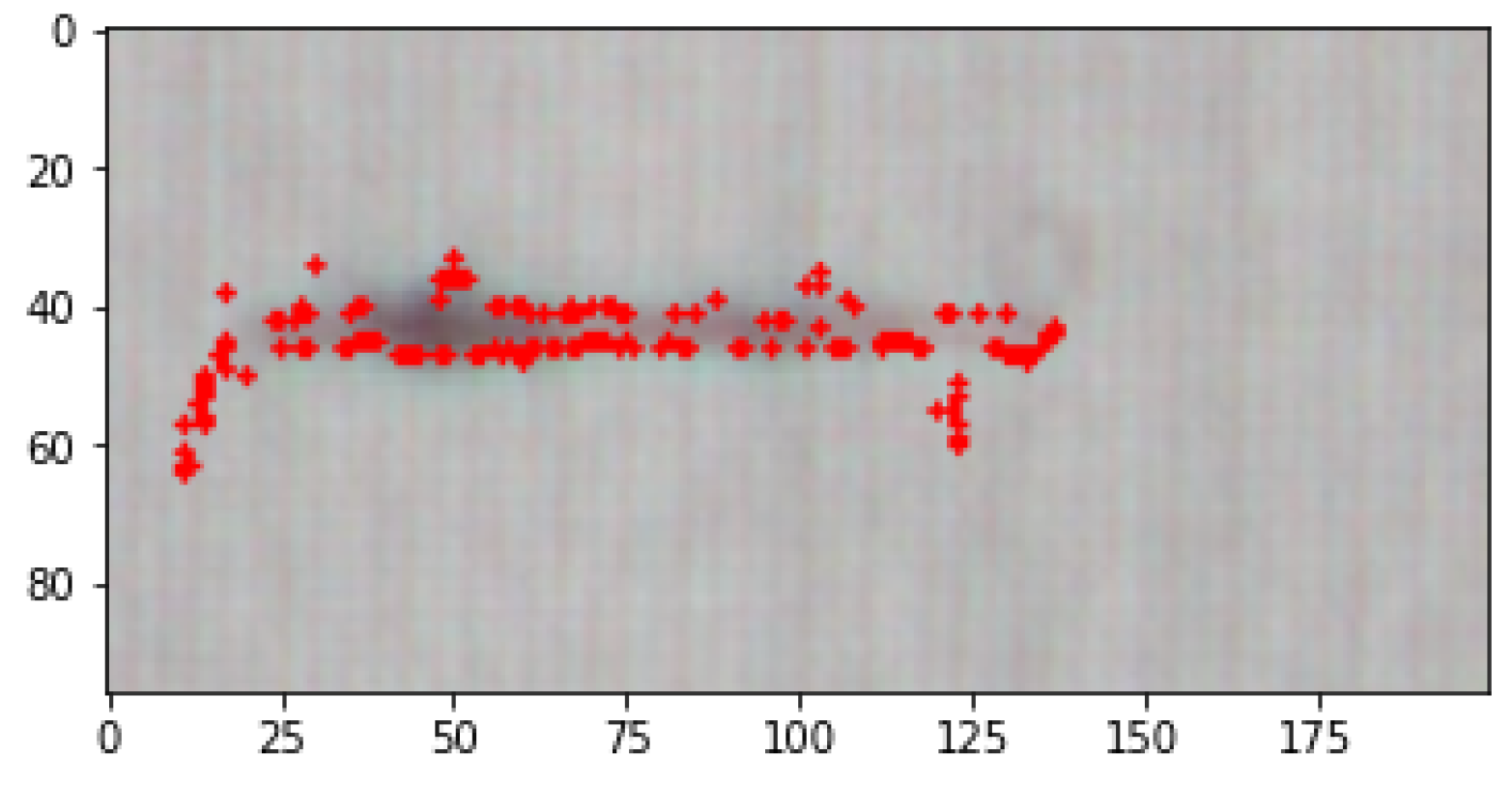 Algorithms 17 00506 g011