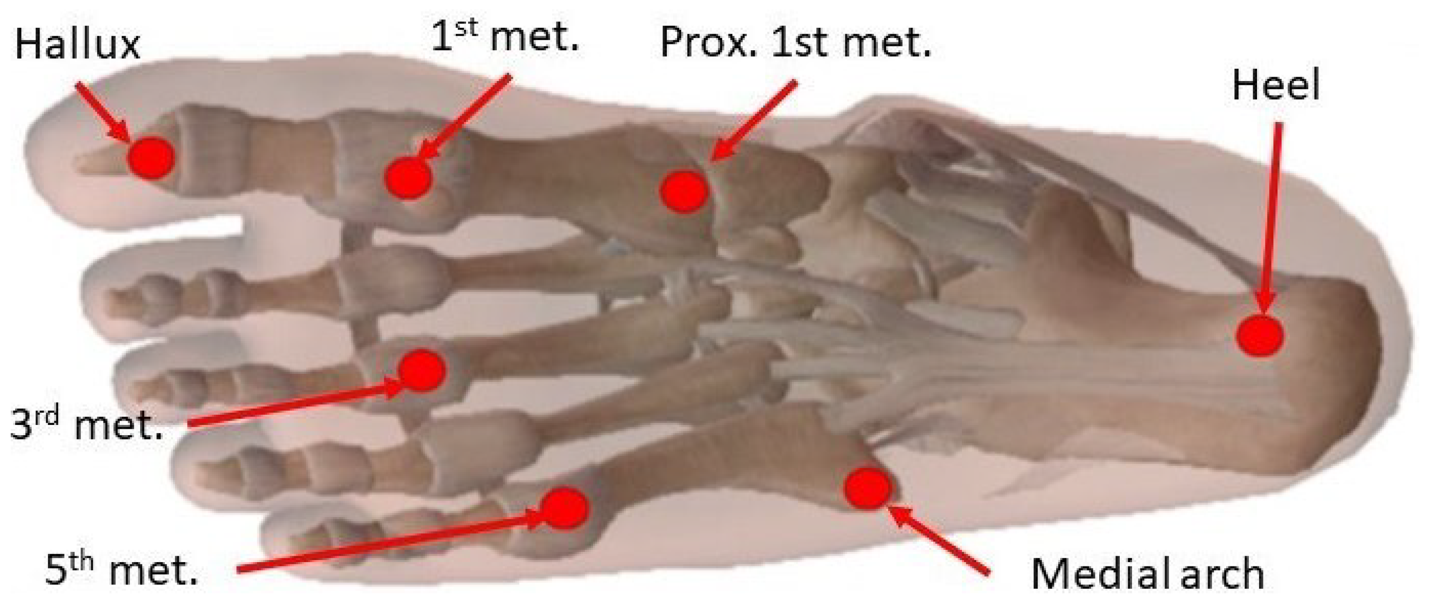 Algorithms 17 00519 g003