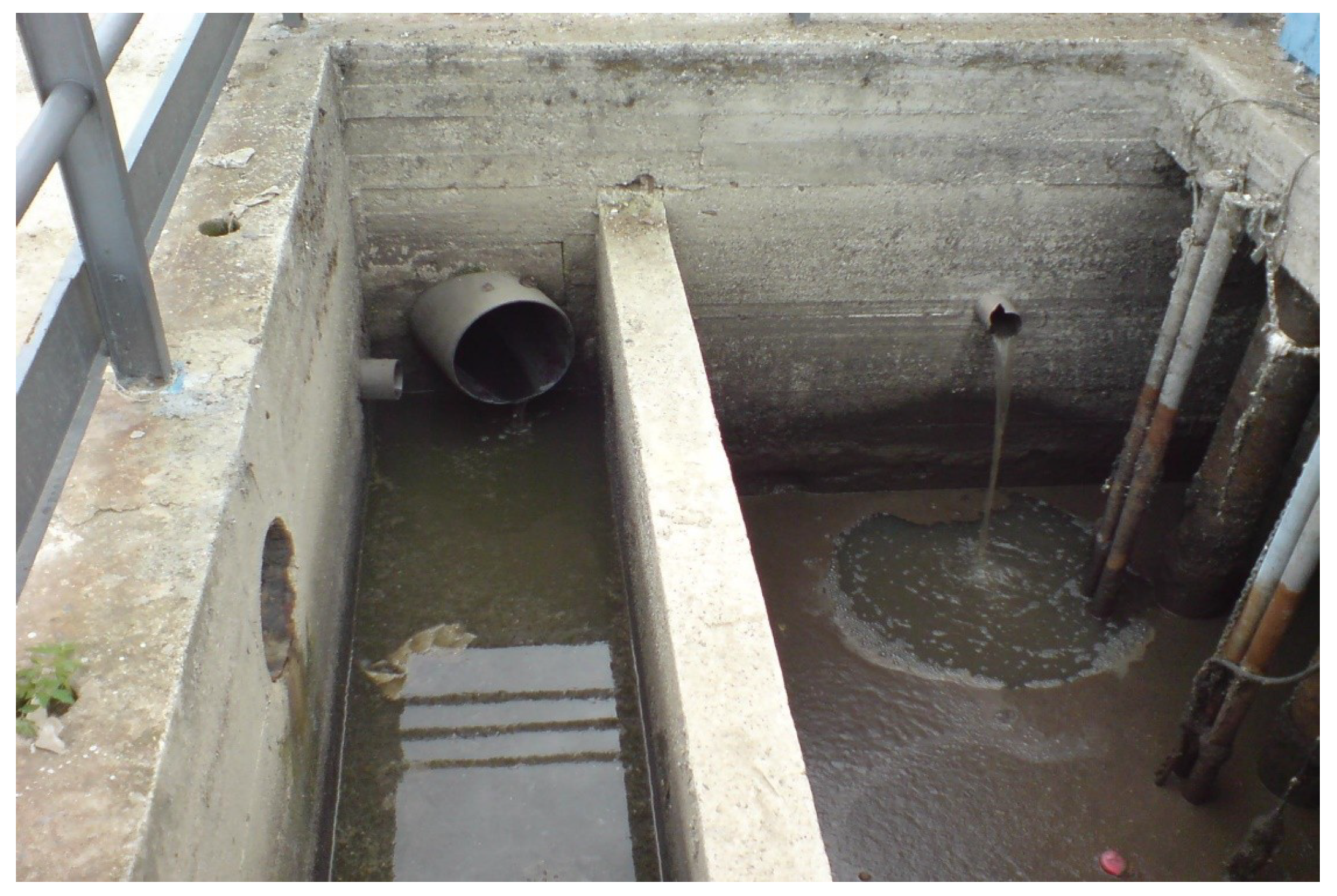 Algorithms 17 00592 g011