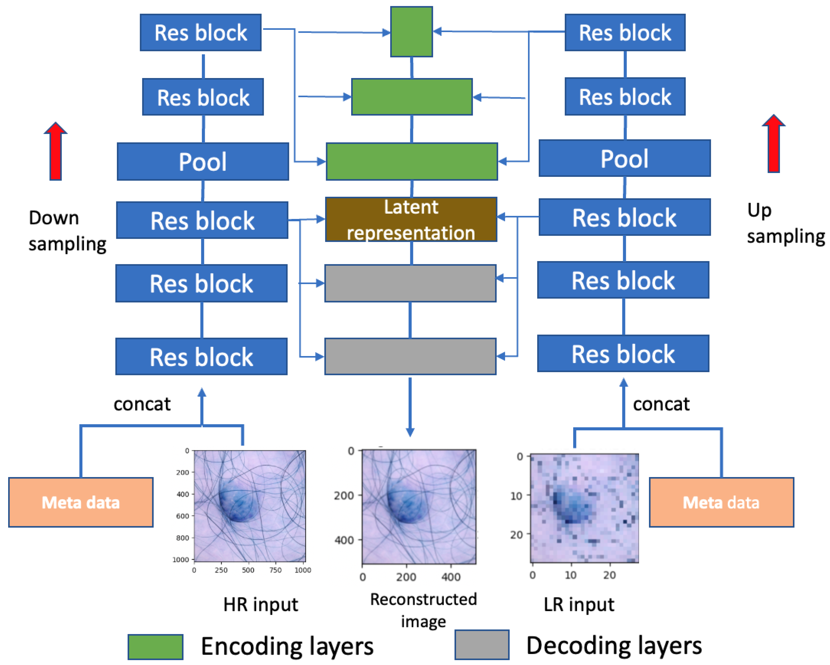 Algorithms 18 00055 g003