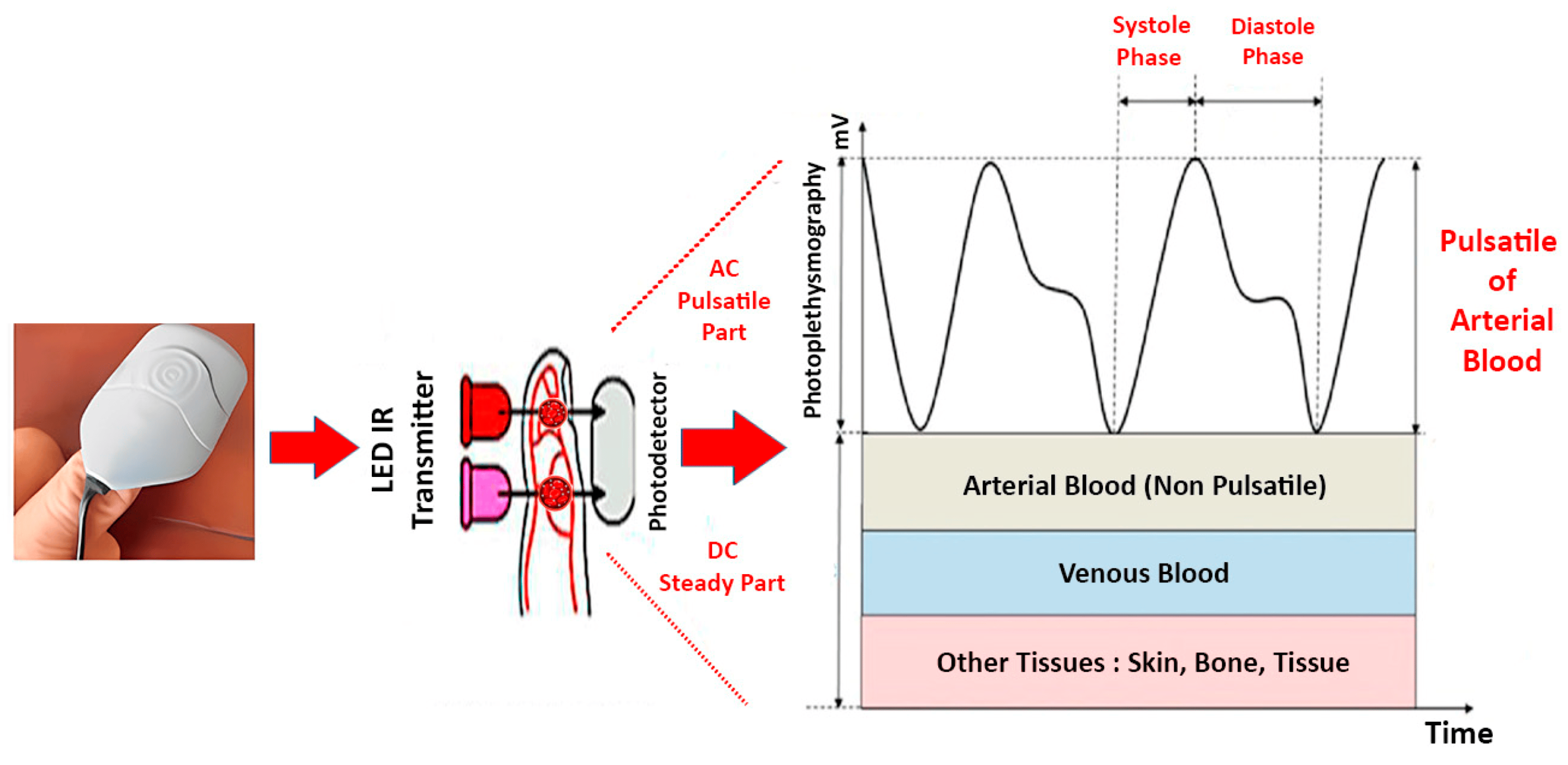 Algorithms 18 00095 g001