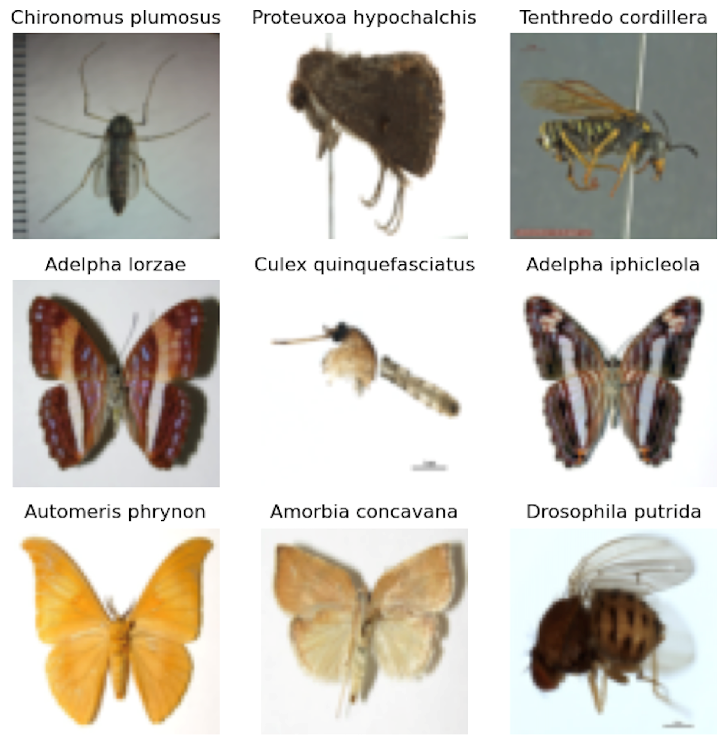 Algorithms 18 00105 g002