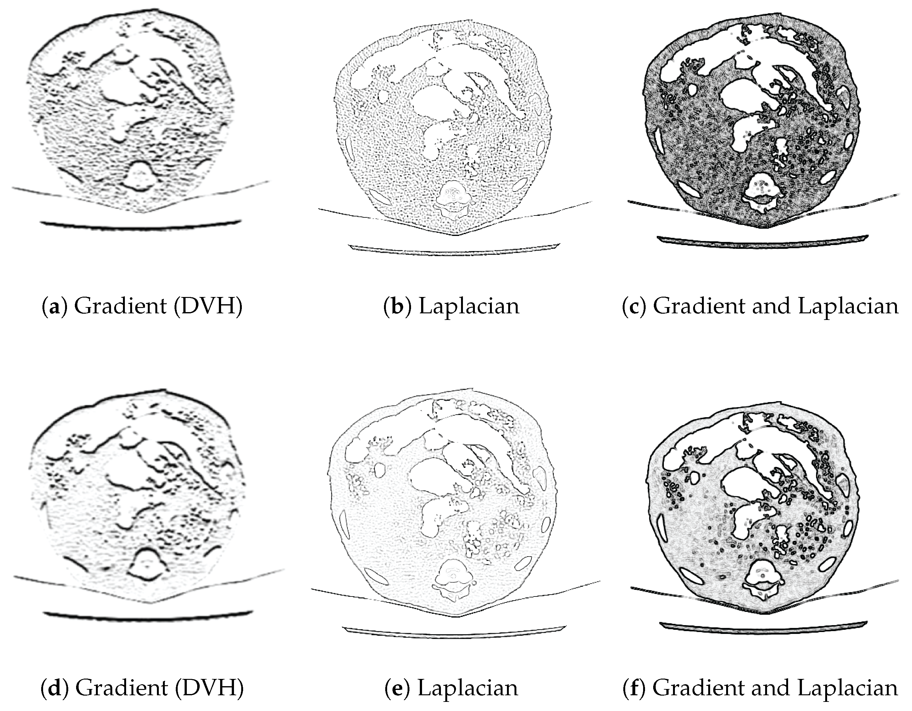 Algorithms 18 00134 g004