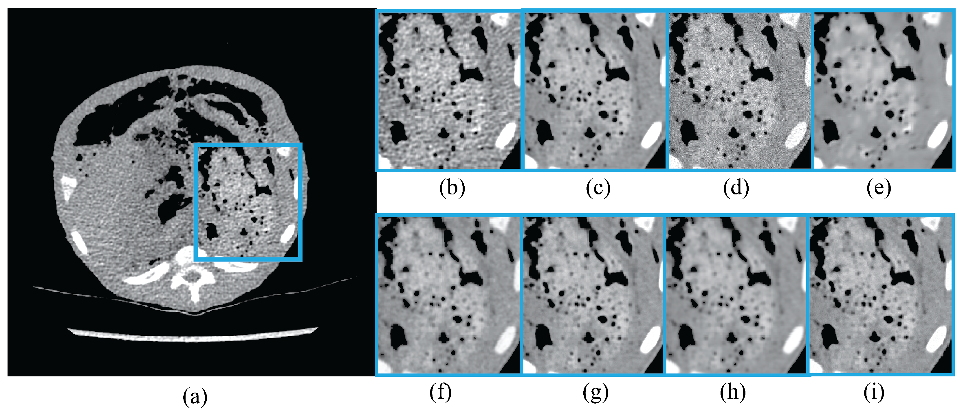 Algorithms 18 00134 g005