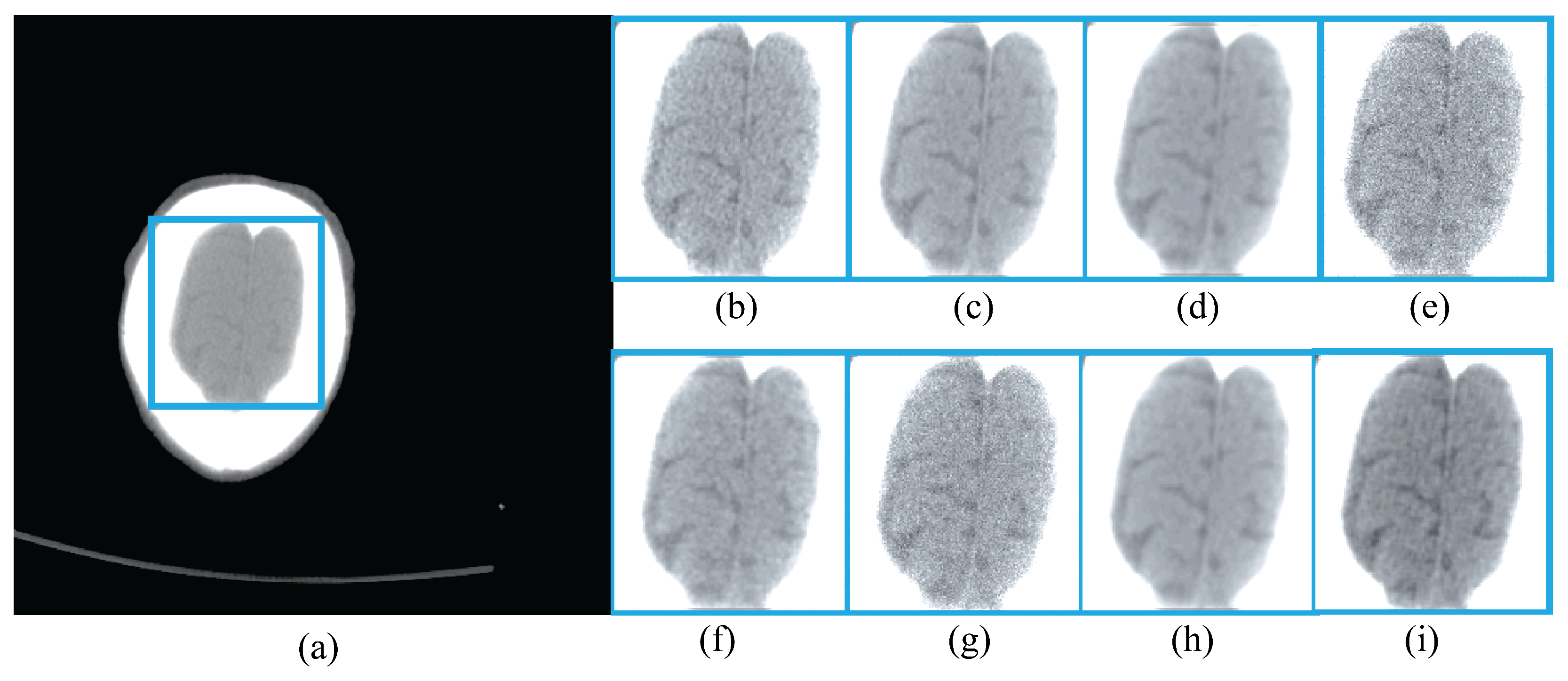 Algorithms 18 00134 g010