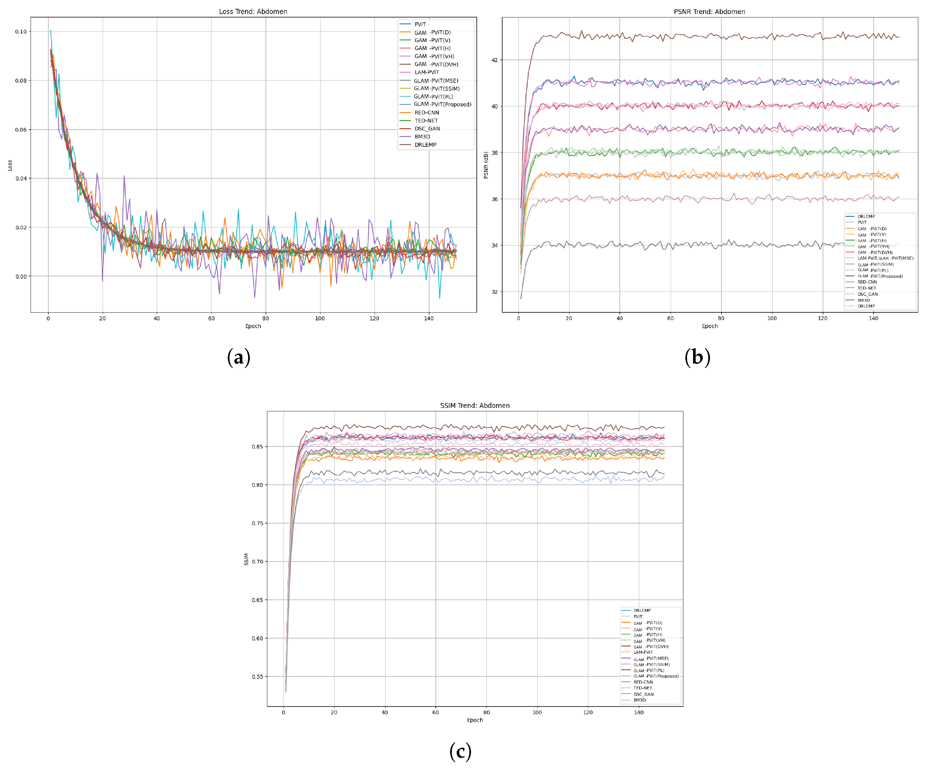 Algorithms 18 00134 g011