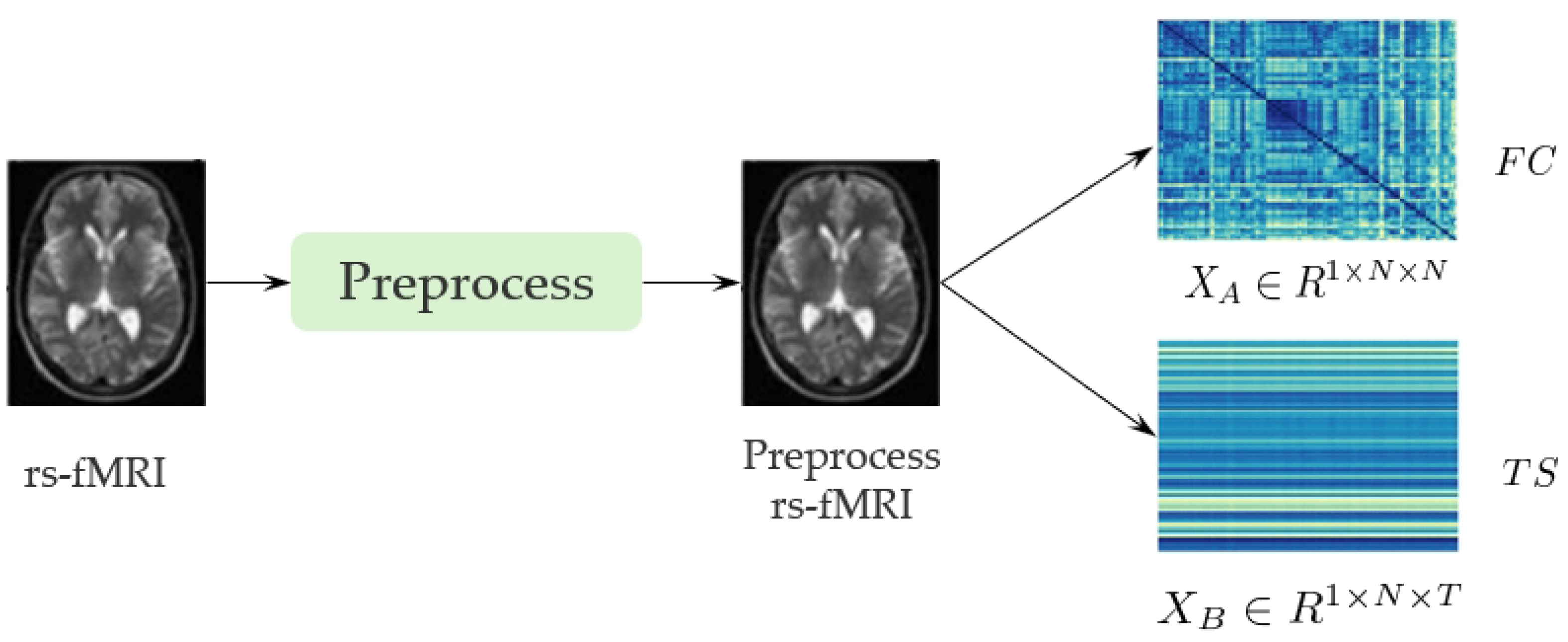 Algorithms 18 00138 g002