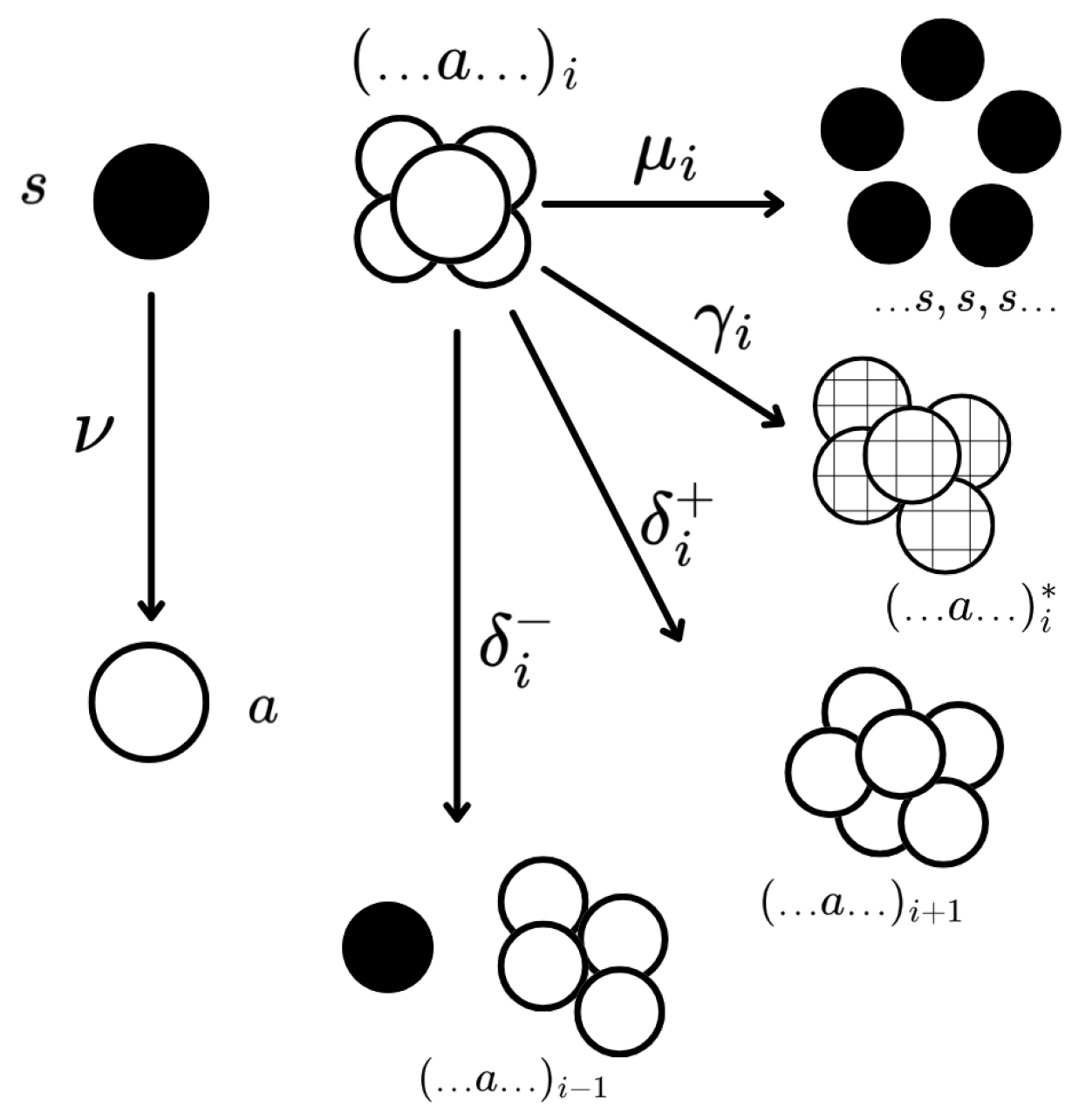 Algorithms 18 00149 g001
