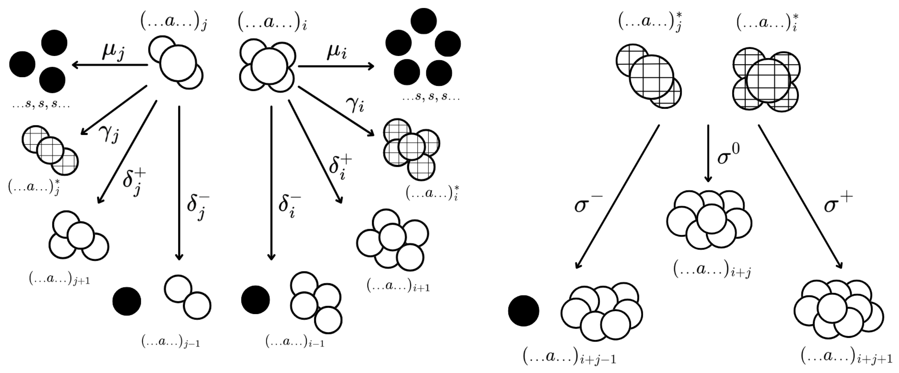Algorithms 18 00149 g002