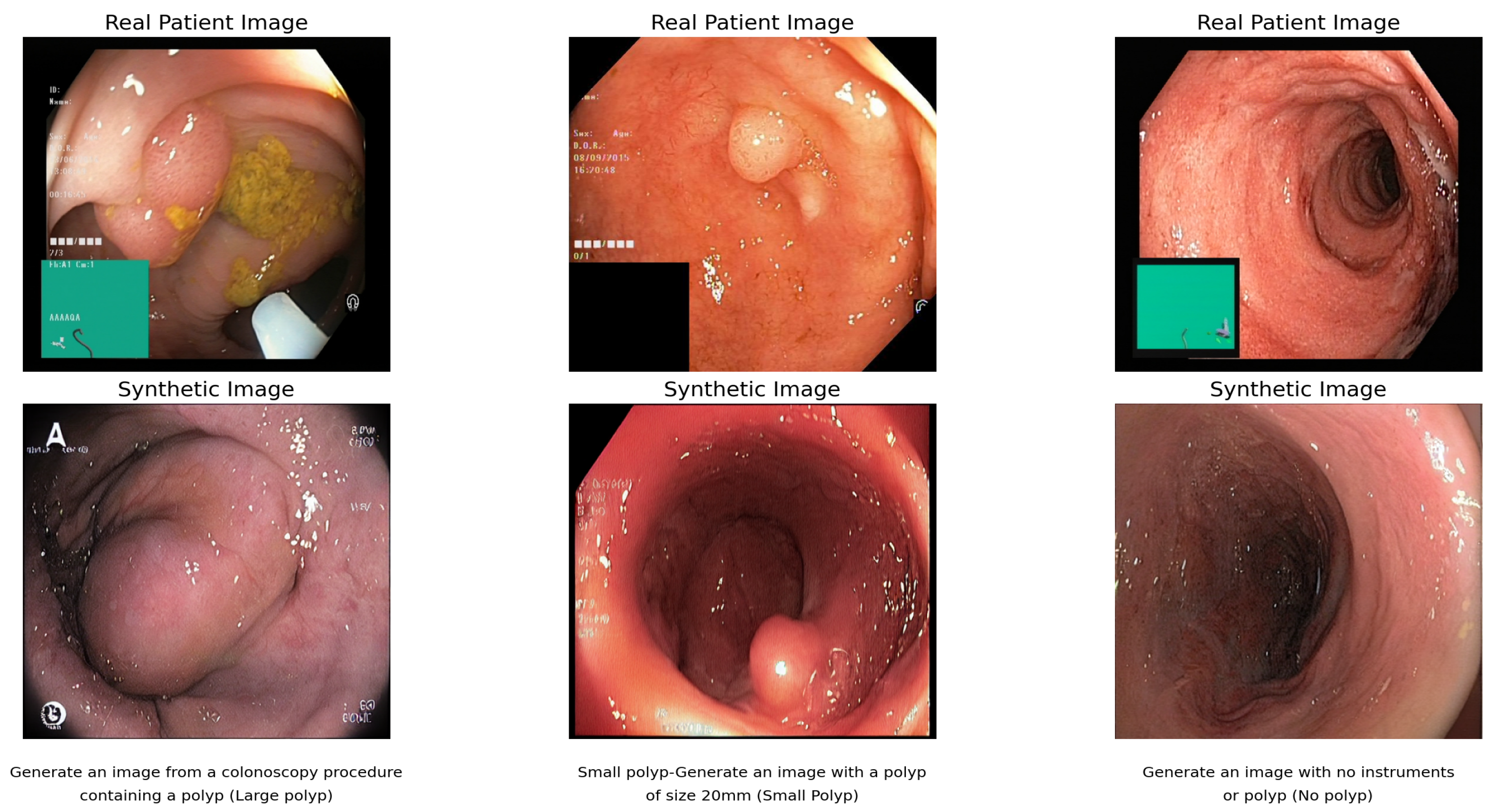 Algorithms 18 00155 g005