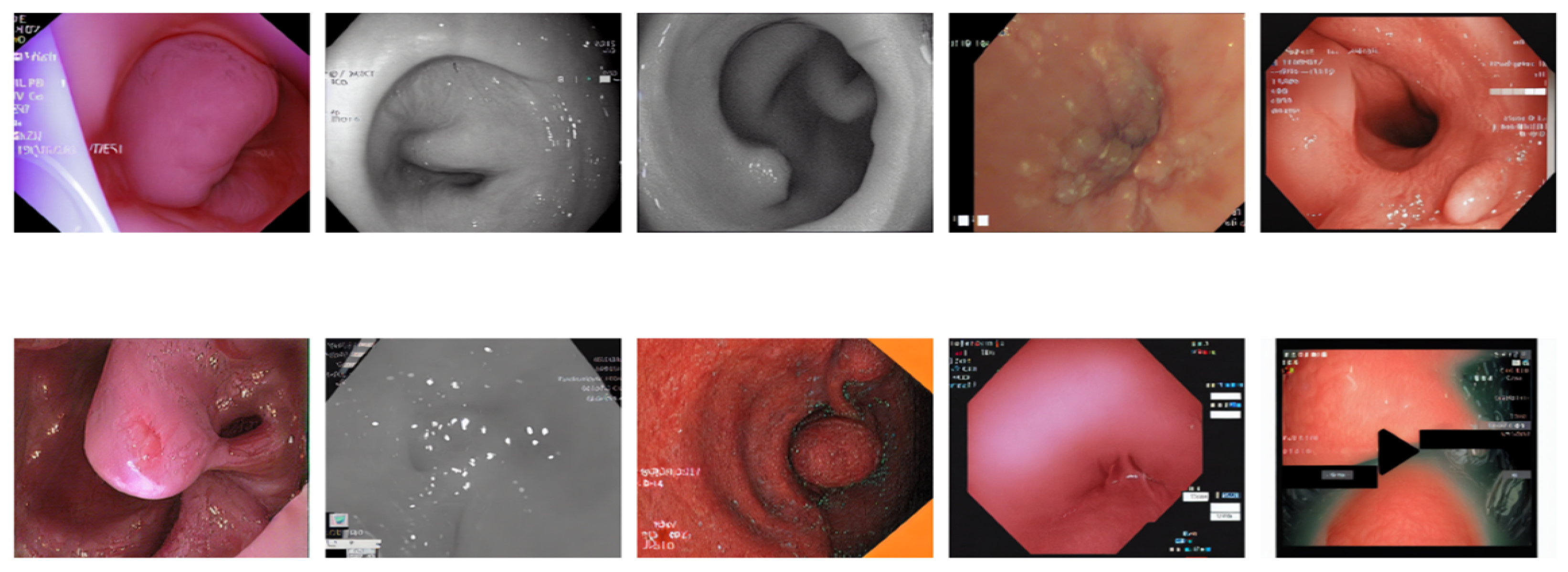Algorithms 18 00155 g014