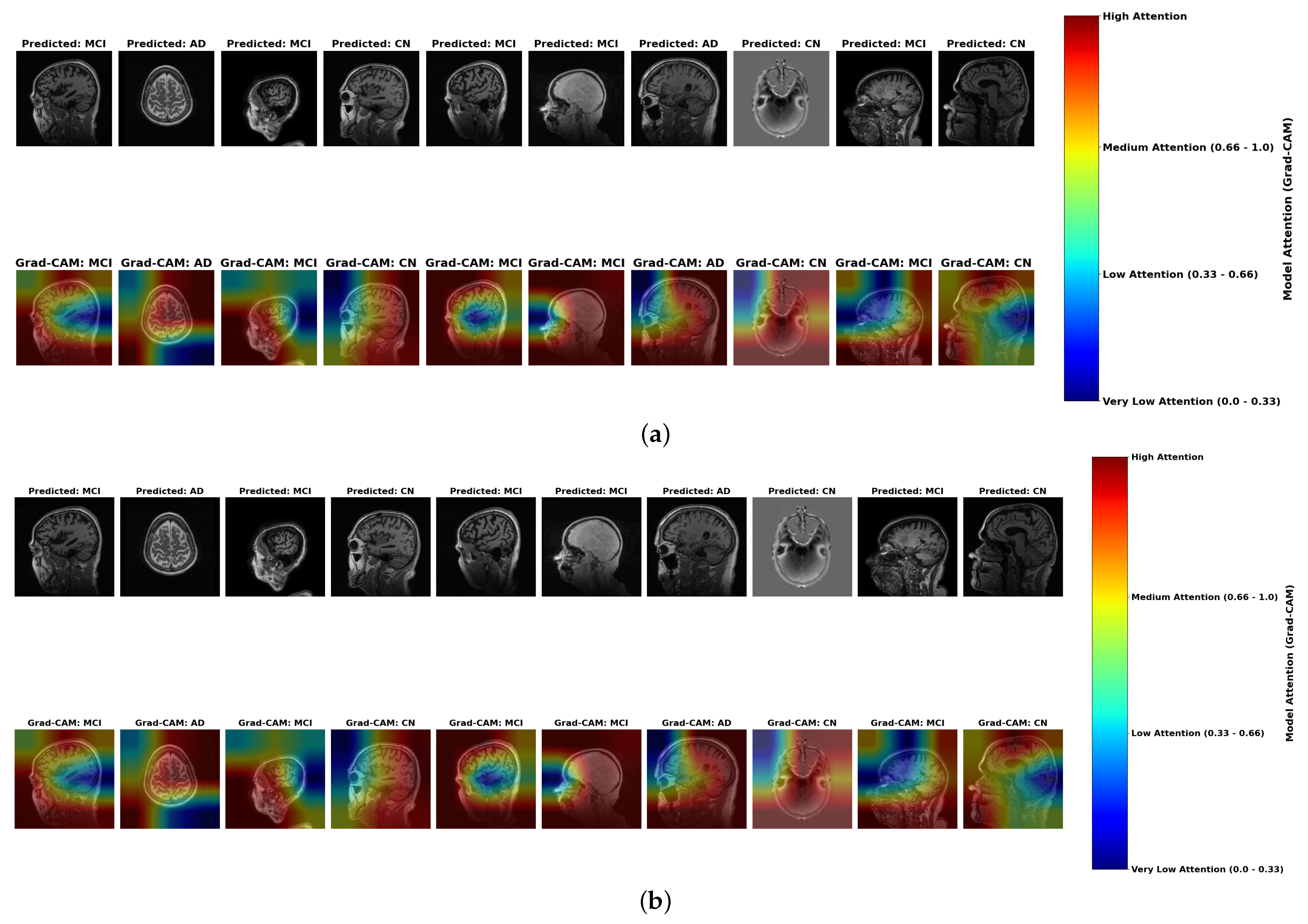 Algorithms 18 00163 g014