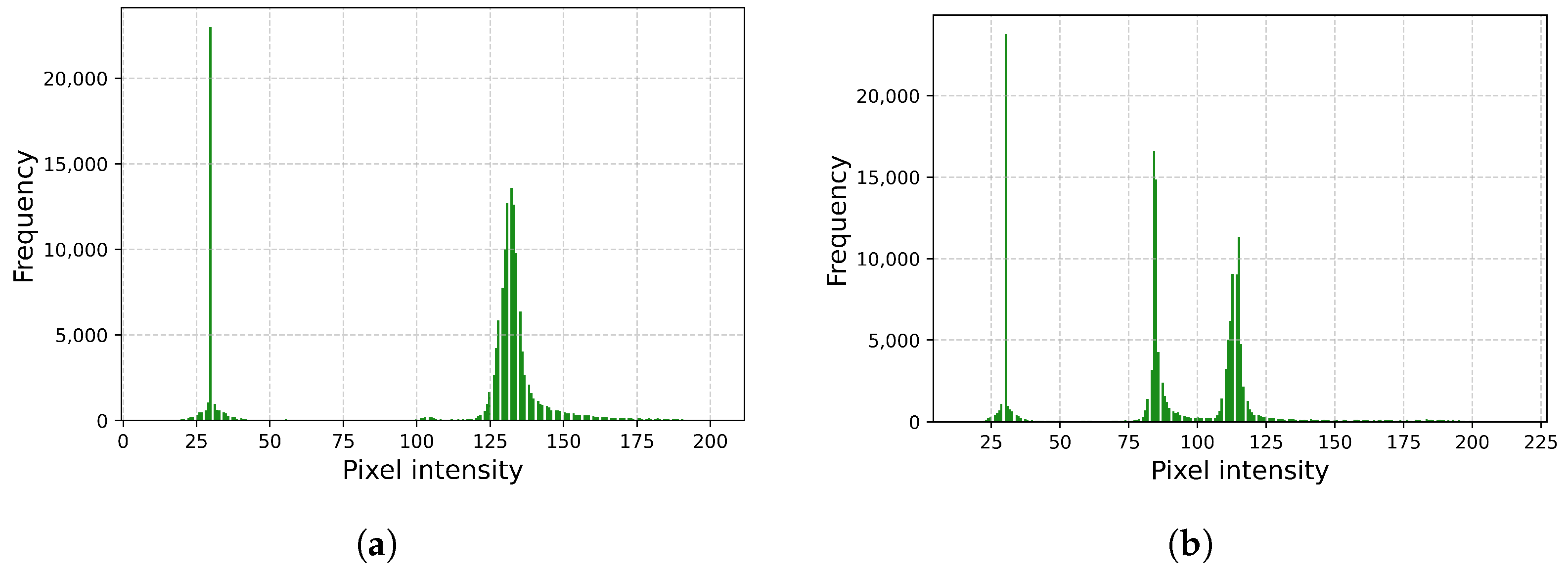 Algorithms 18 00181 g002