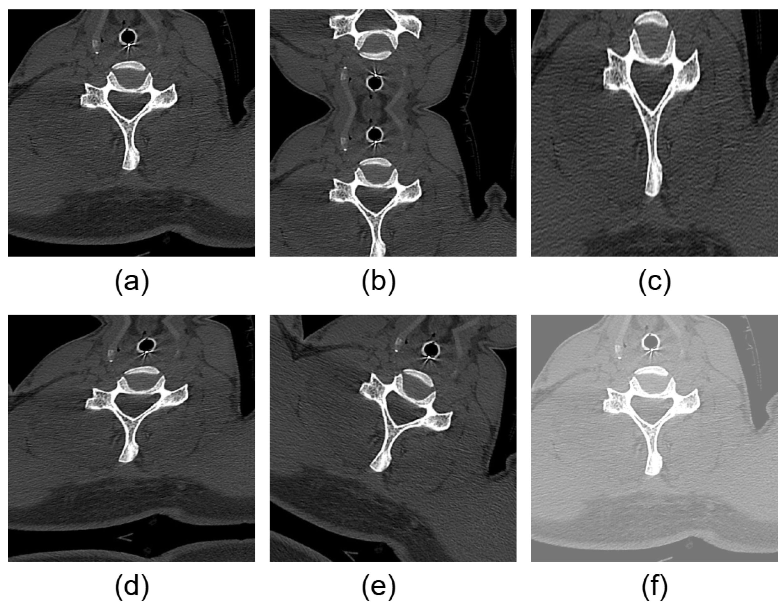 Algorithms 18 00181 g003