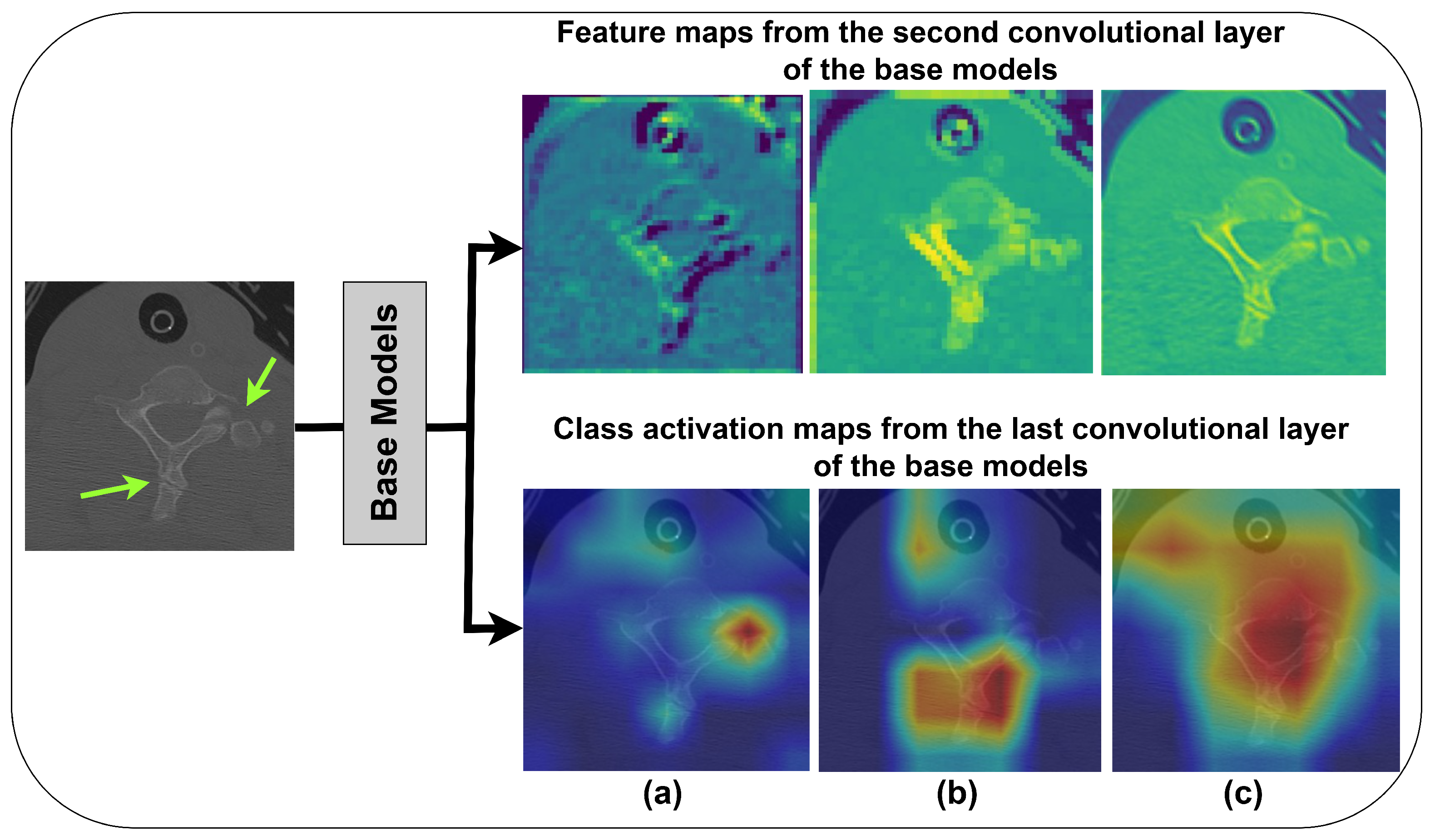 Algorithms 18 00181 g008