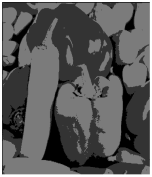 Algorithms 18 00199 i041