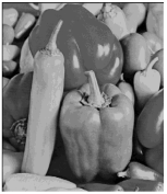 Algorithms 18 00199 i044