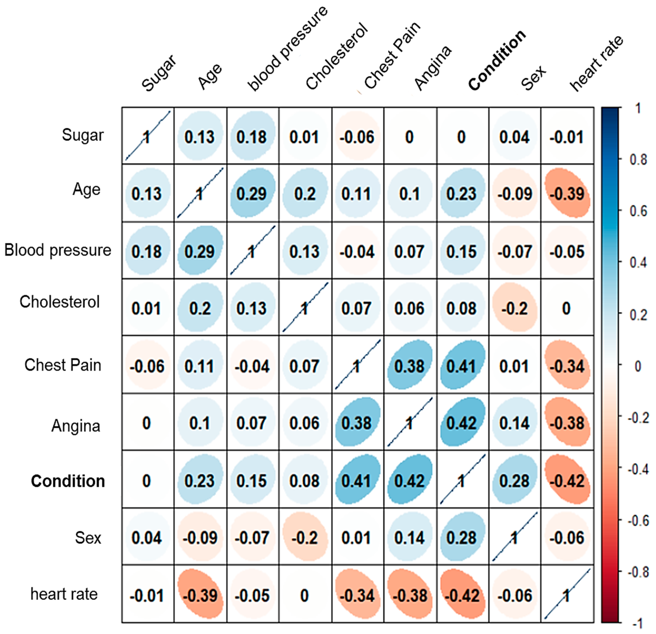 Algorithms 18 00202 g010