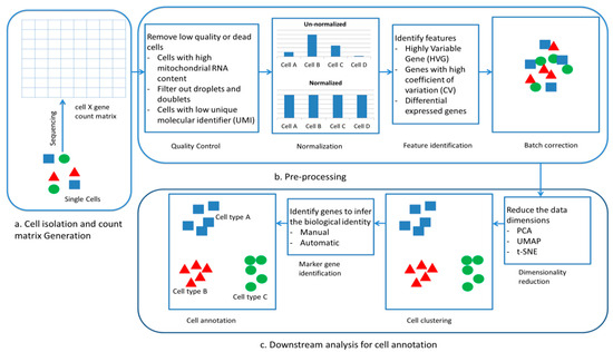 A Comparative Study of Machine Learning Techniques for Cell Annotation ...