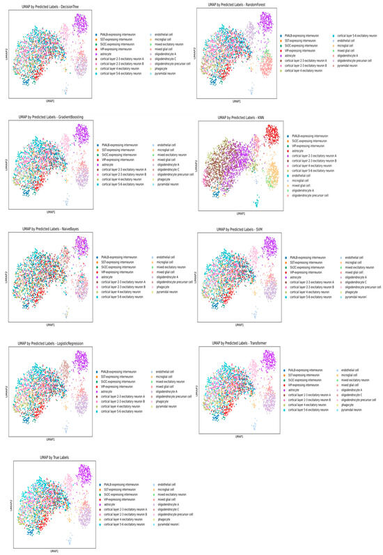 A Comparative Study of Machine Learning Techniques for Cell Annotation ...