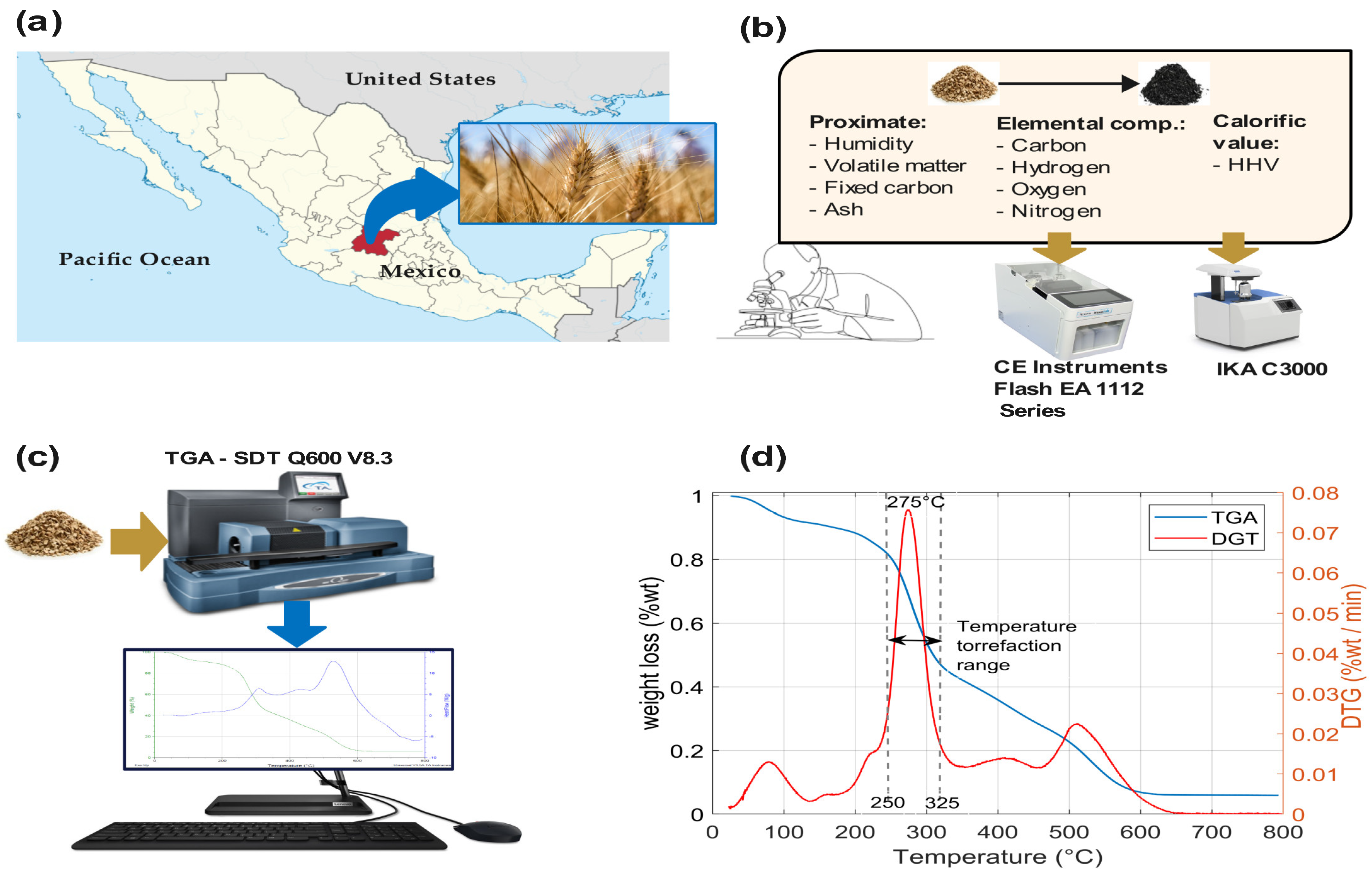 Algorithms 18 00283 g001