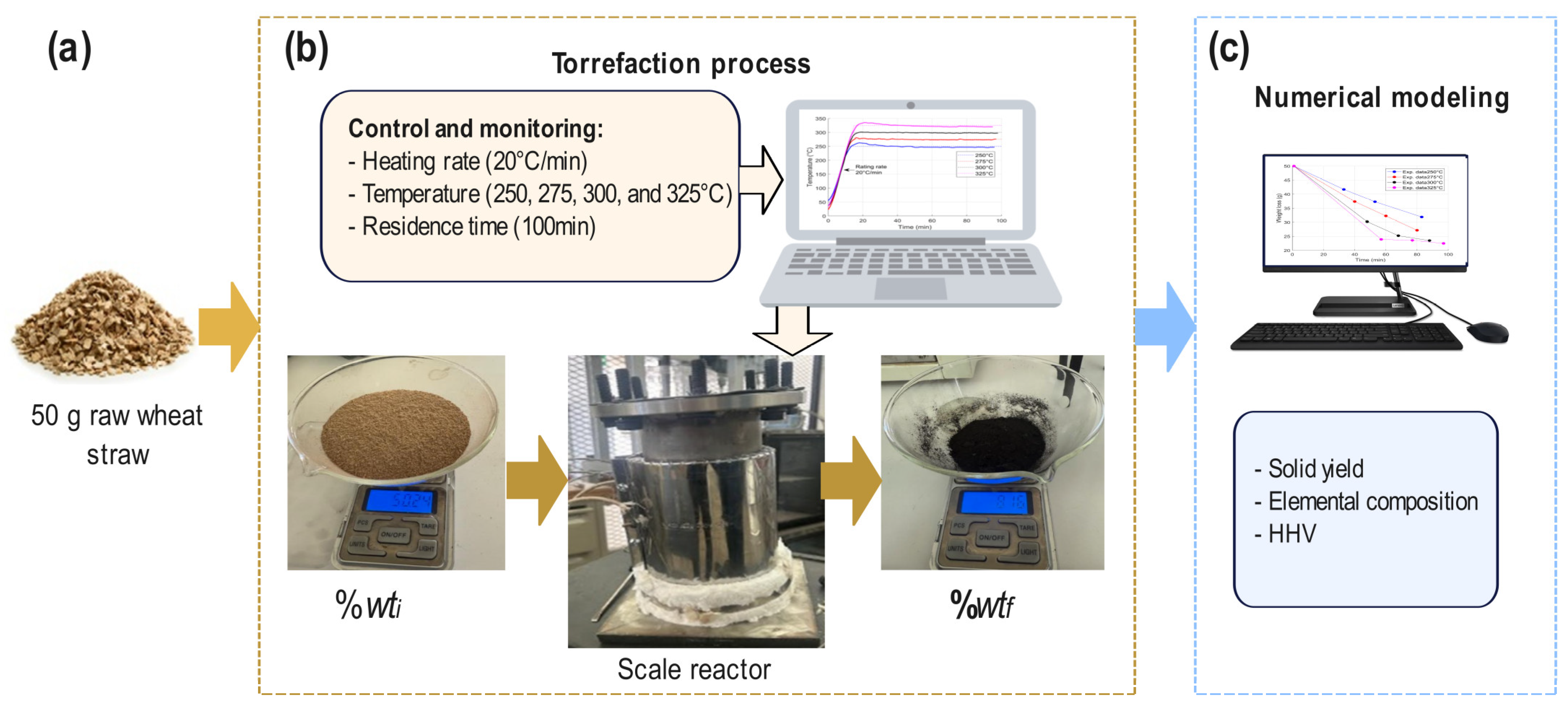 Algorithms 18 00283 g002
