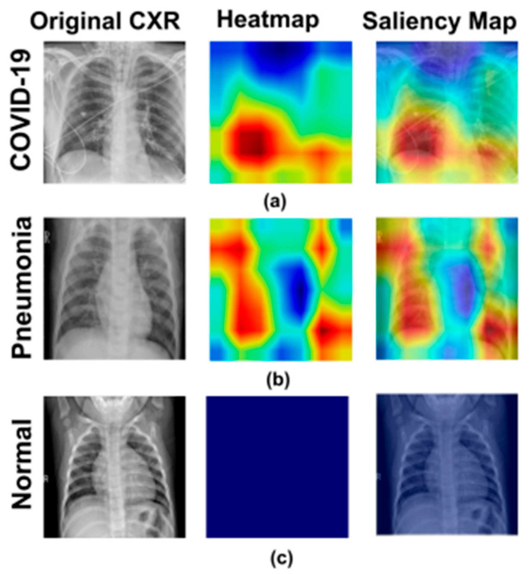 Algorithms 18 00306 g002