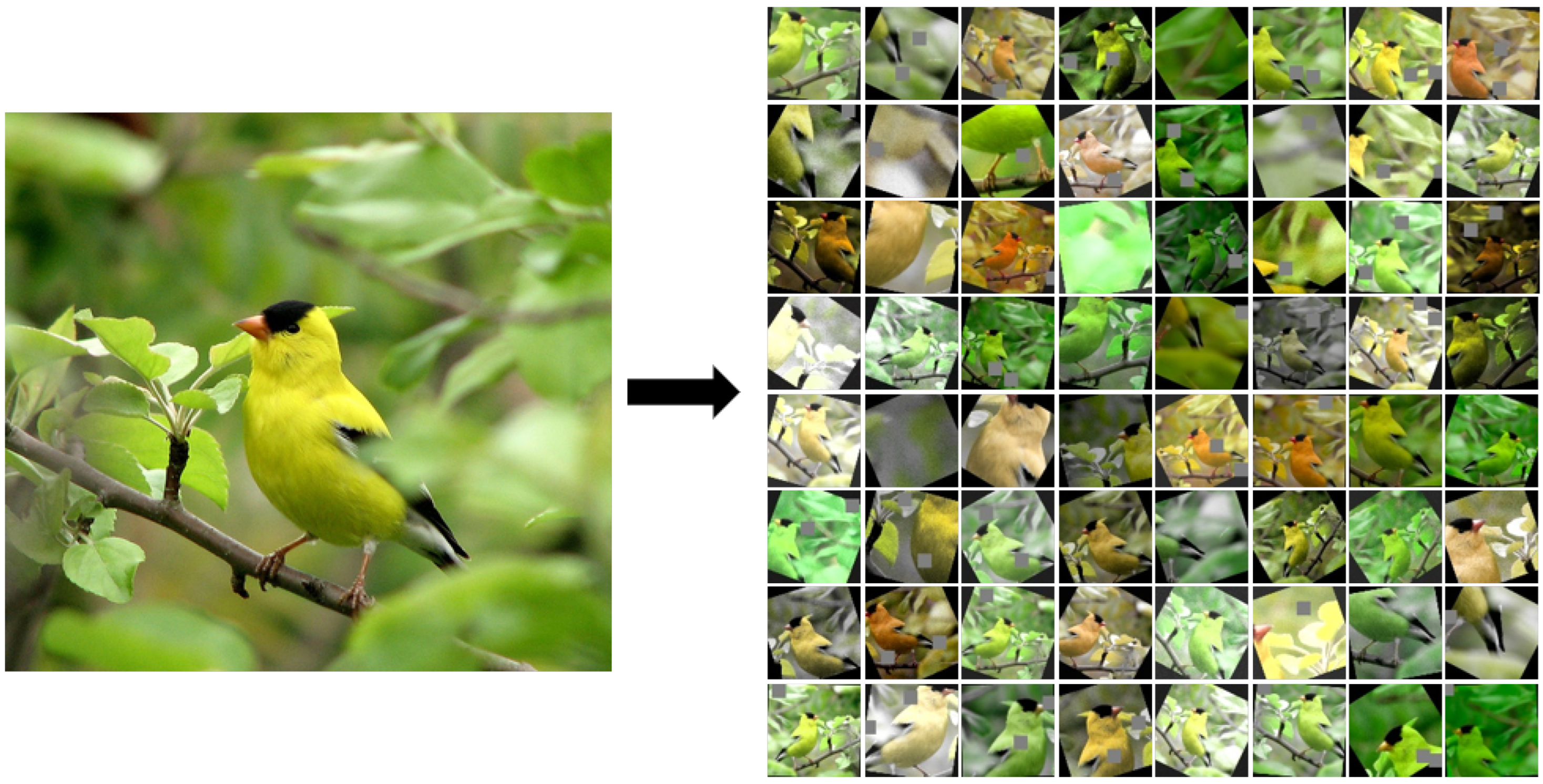 Algorithms 18 00329 g002