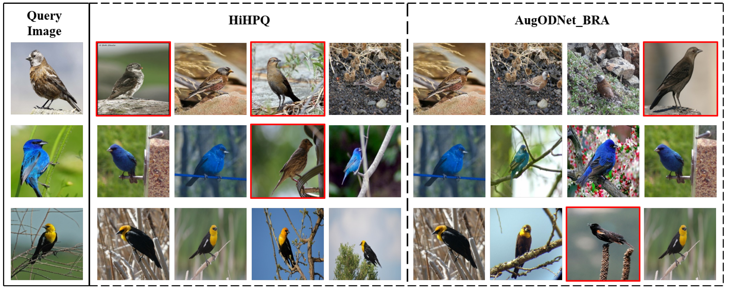 Algorithms 18 00329 g009