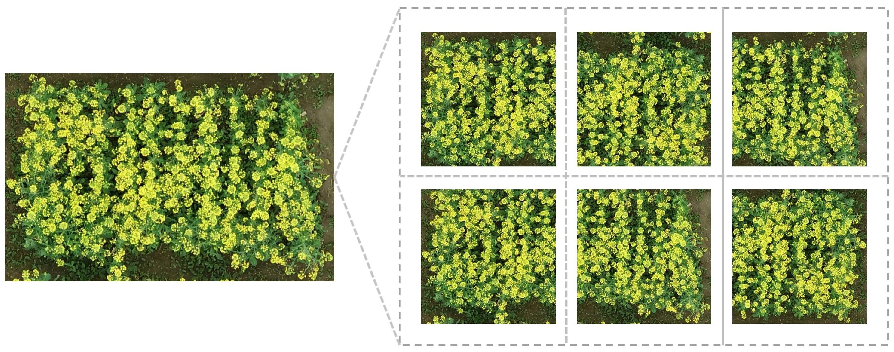 Algorithms 18 00428 g002