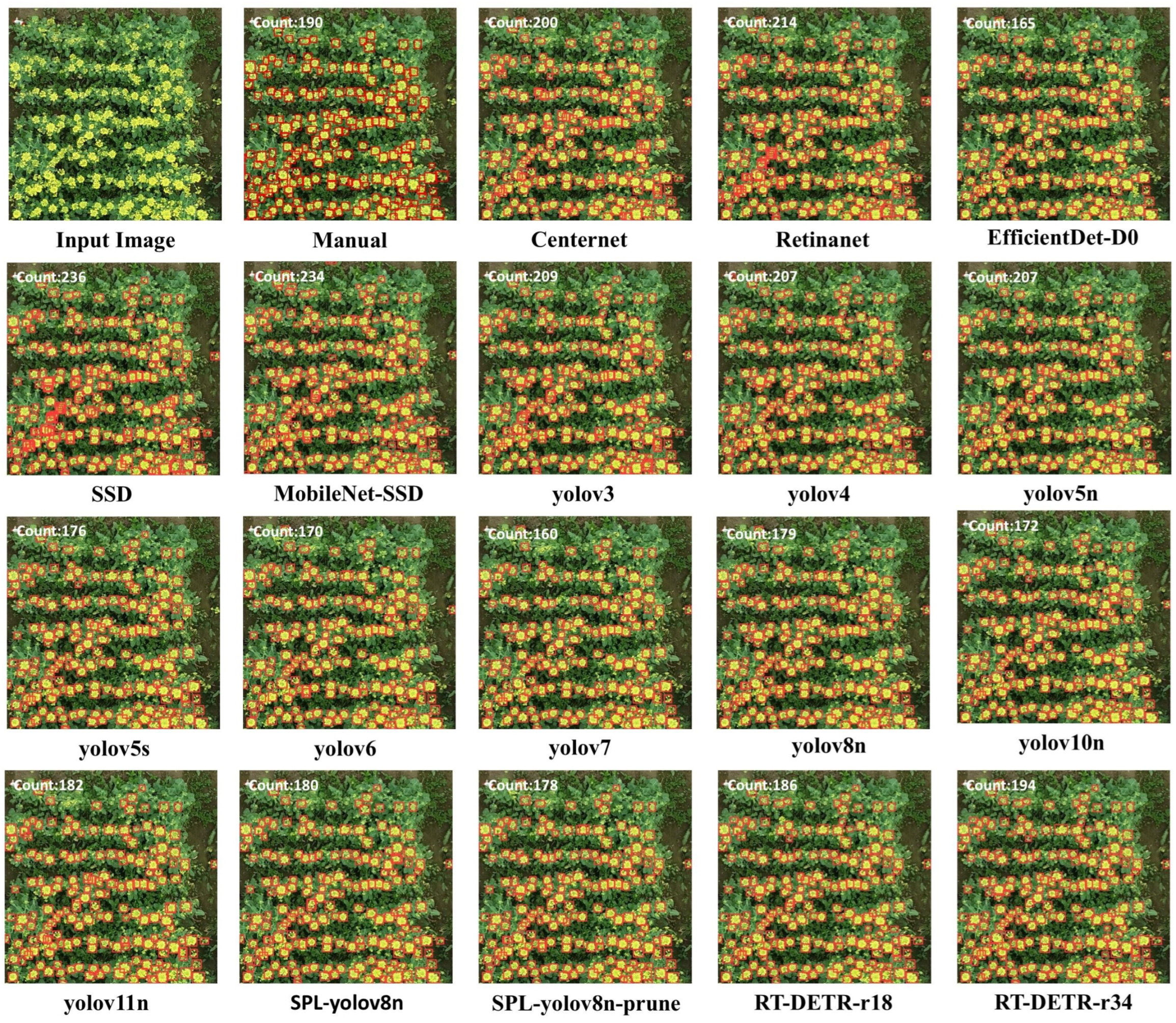 Algorithms 18 00428 g011