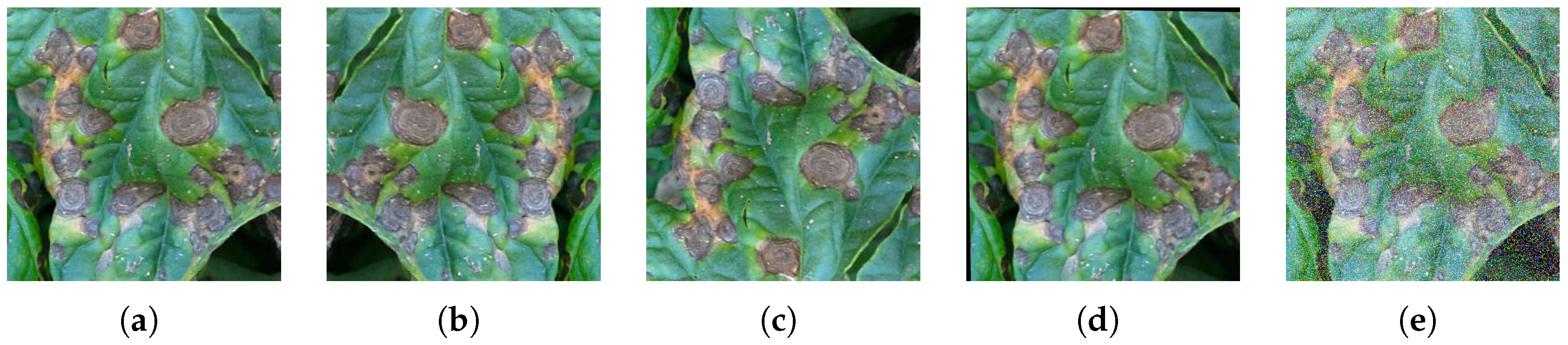 Algorithms 18 00433 g003