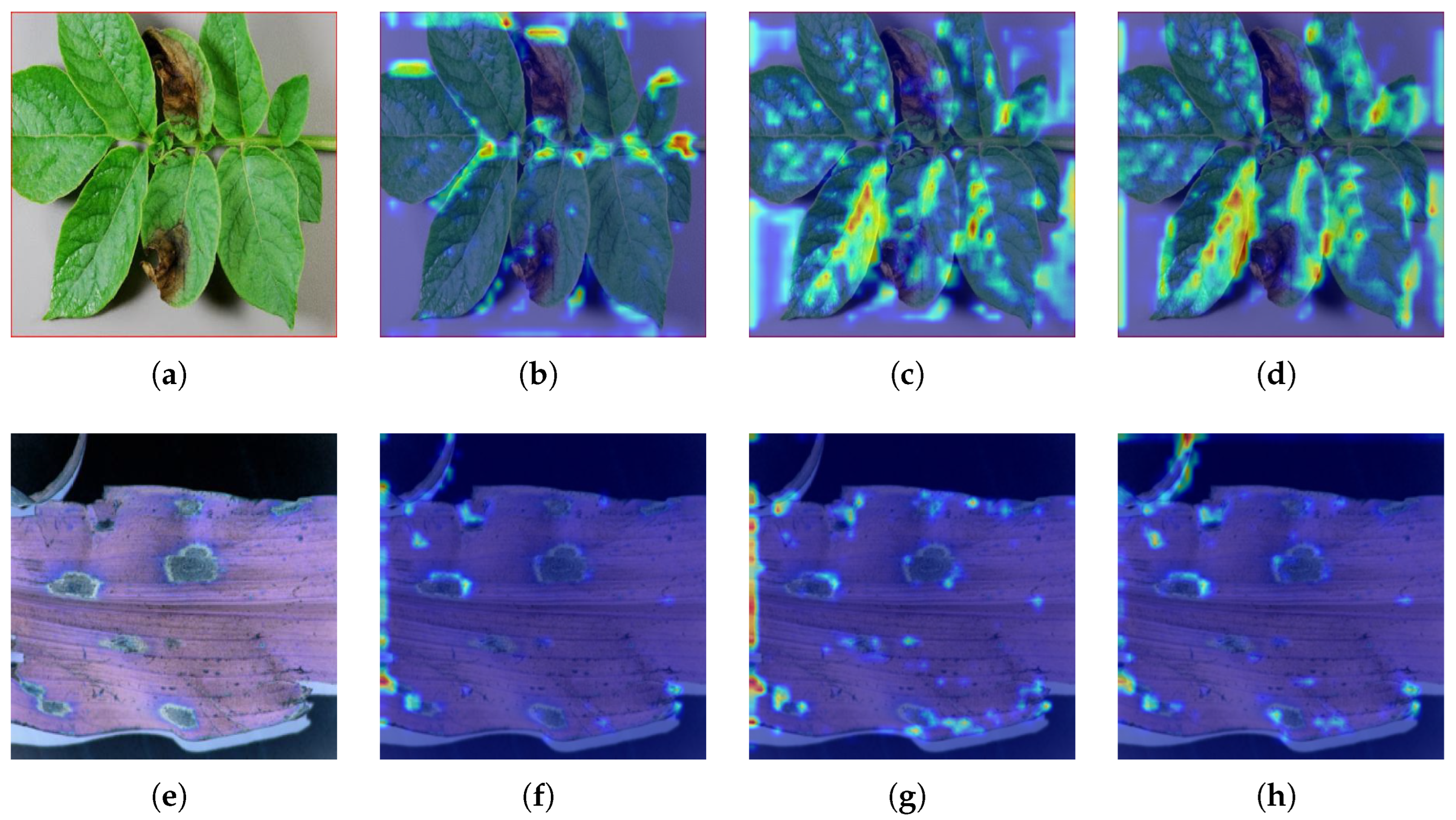 Algorithms 18 00433 g011